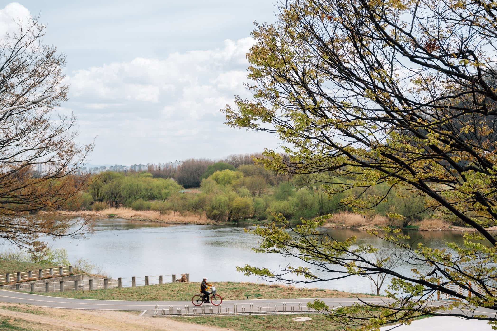Was kann man in Südkorea machen? 10 besondere Aktivitäten Tourlane