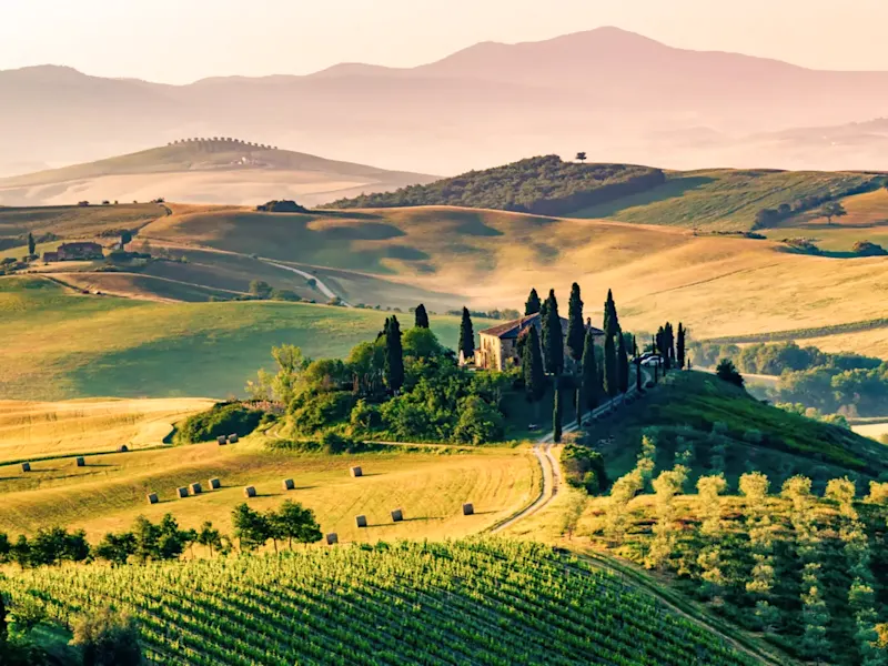 Italien, Toskana, Val d'Orcia Toskanische Hügel im Val d’Orcia mit Zypressen und Weinbergen. Val d’Orcia, Toskana, Italien.