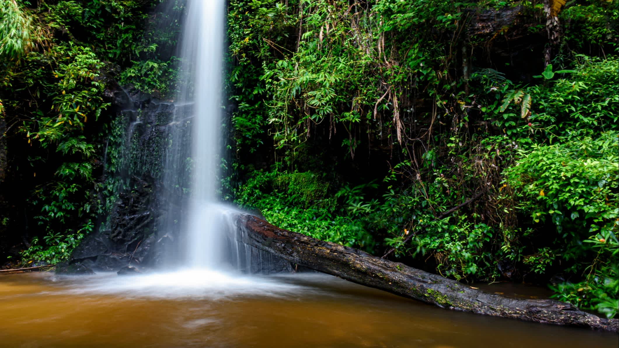 Der Mon Tha Than-Wasserfall ist der schönste und berühmteste Wasserfall im Doi Suthep-Pui-Nationalpark in Chiang mai, Thailand. 