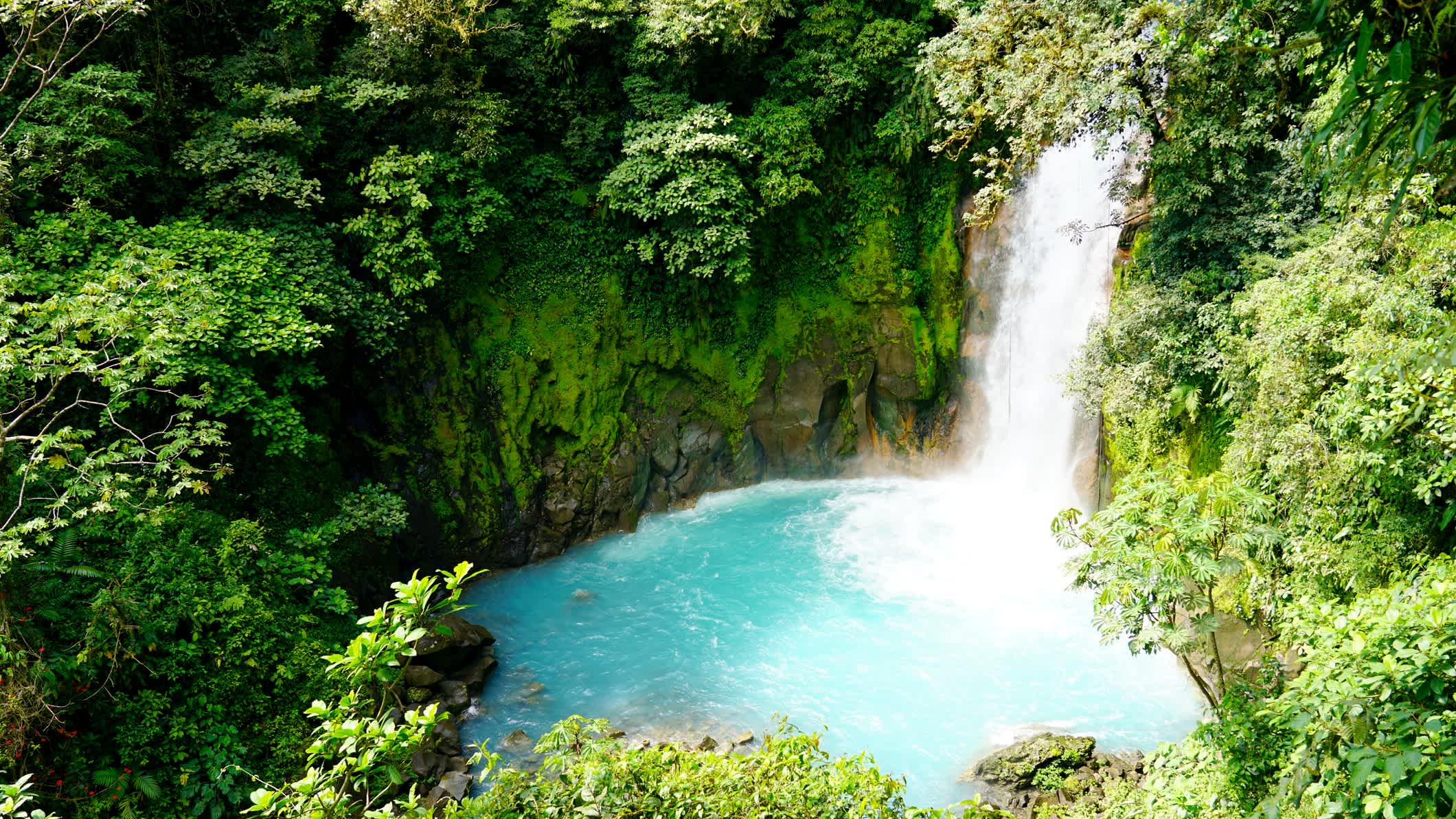 La cascade du Rio Celeste vue d'en haut lors d'une randonnée dans la jungle au Costa Rica