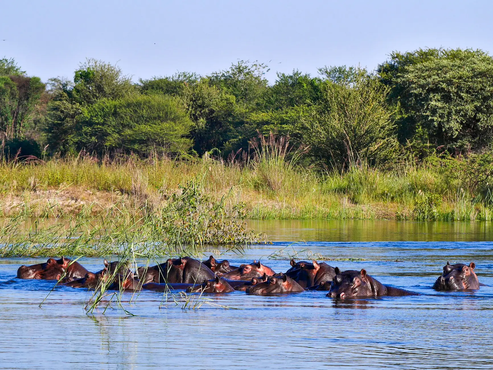 Namibie, Bande de Caprivi