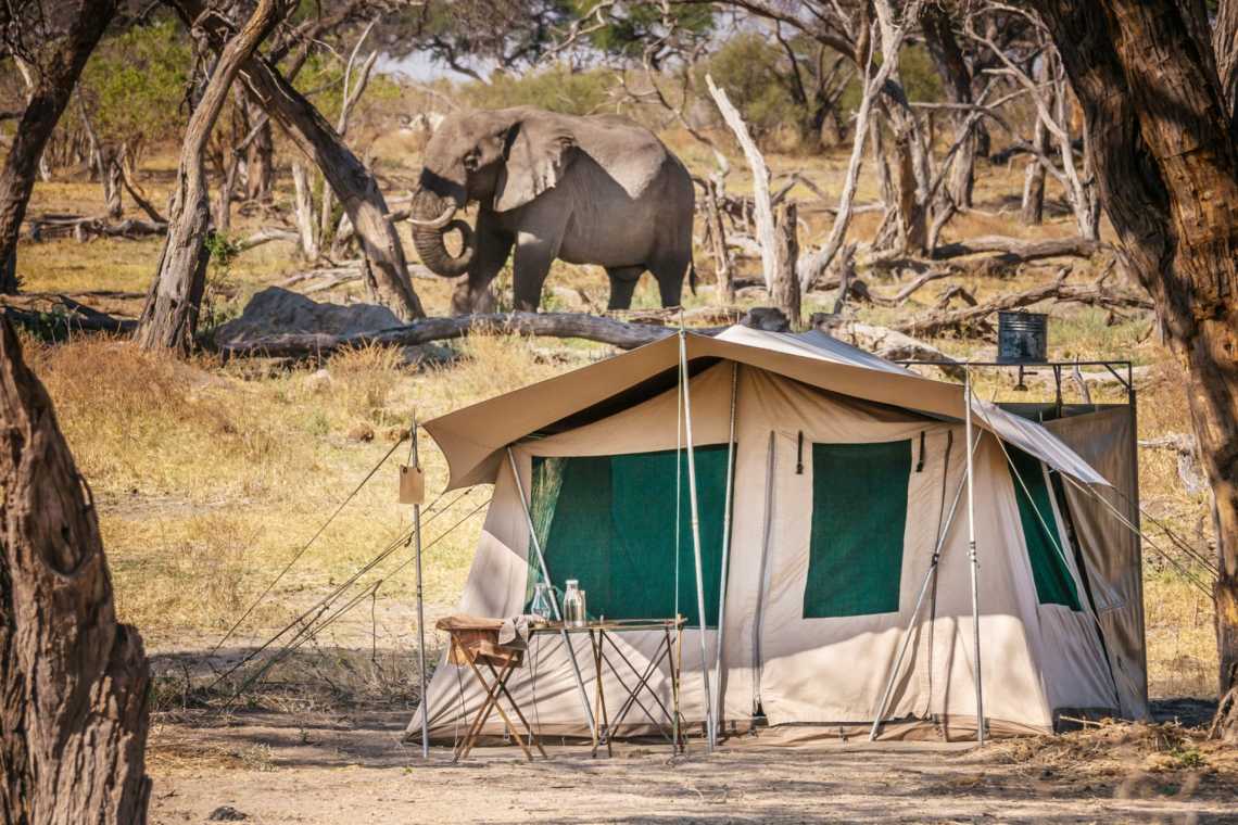 Afrikanisches Safari-Zeltlager mit Elefanten im Hintergrund, Botswana. 