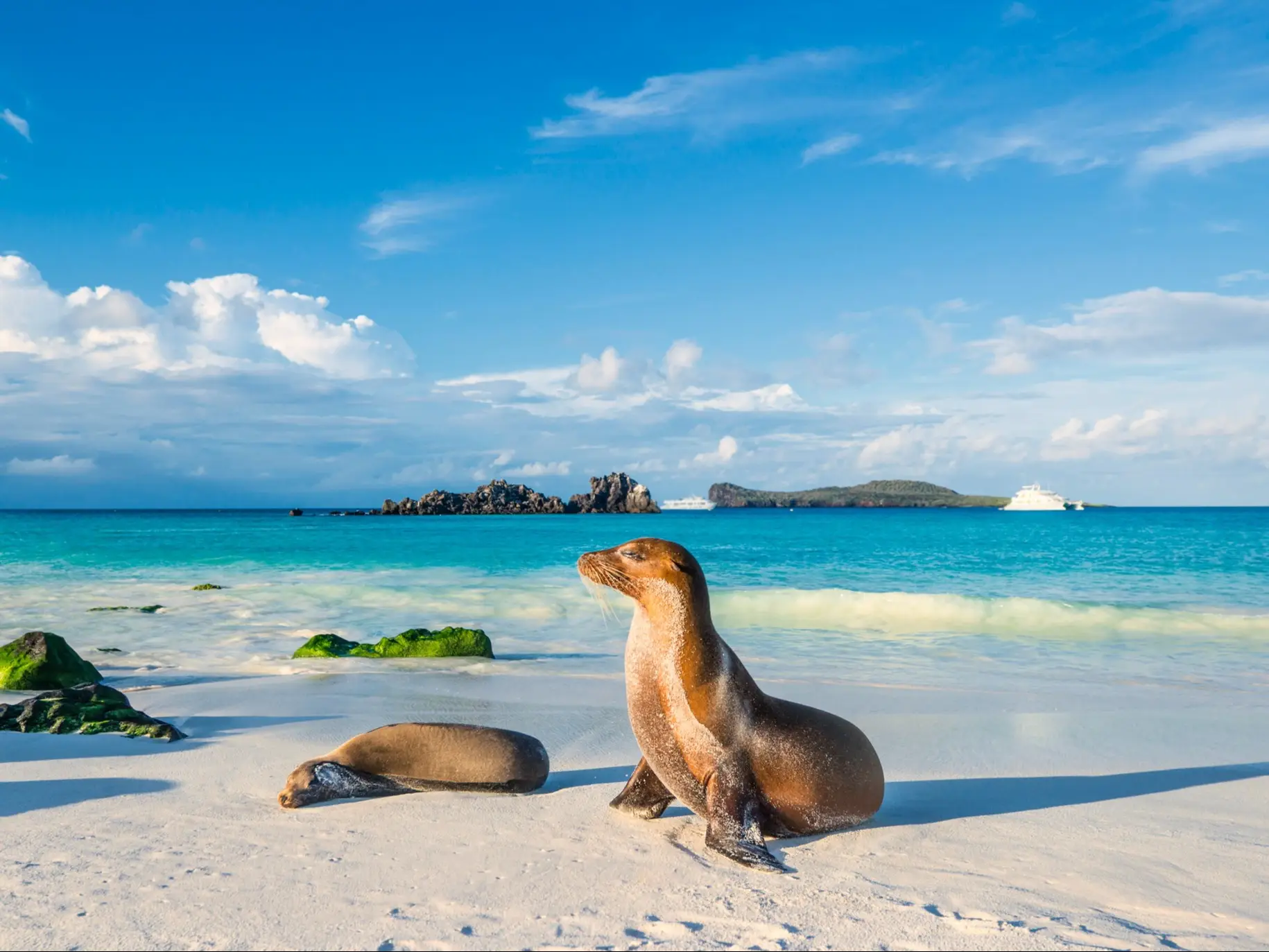 Équateur, île des Galapagos, plage