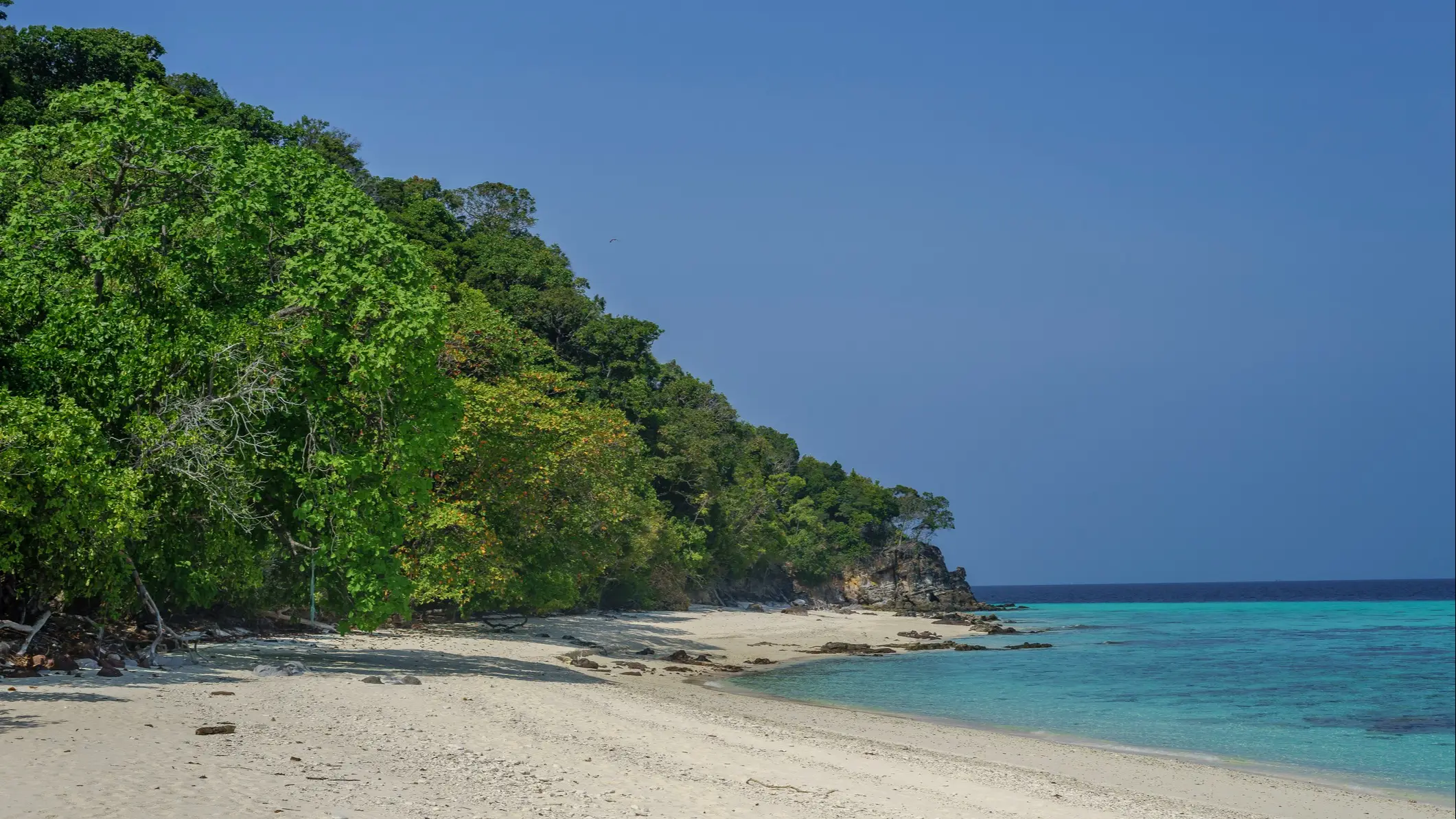 Ruhiger Strand mit türkisfarbenem Wasser und üppigem Grün, Pulau Tenggol, Malaysia. 