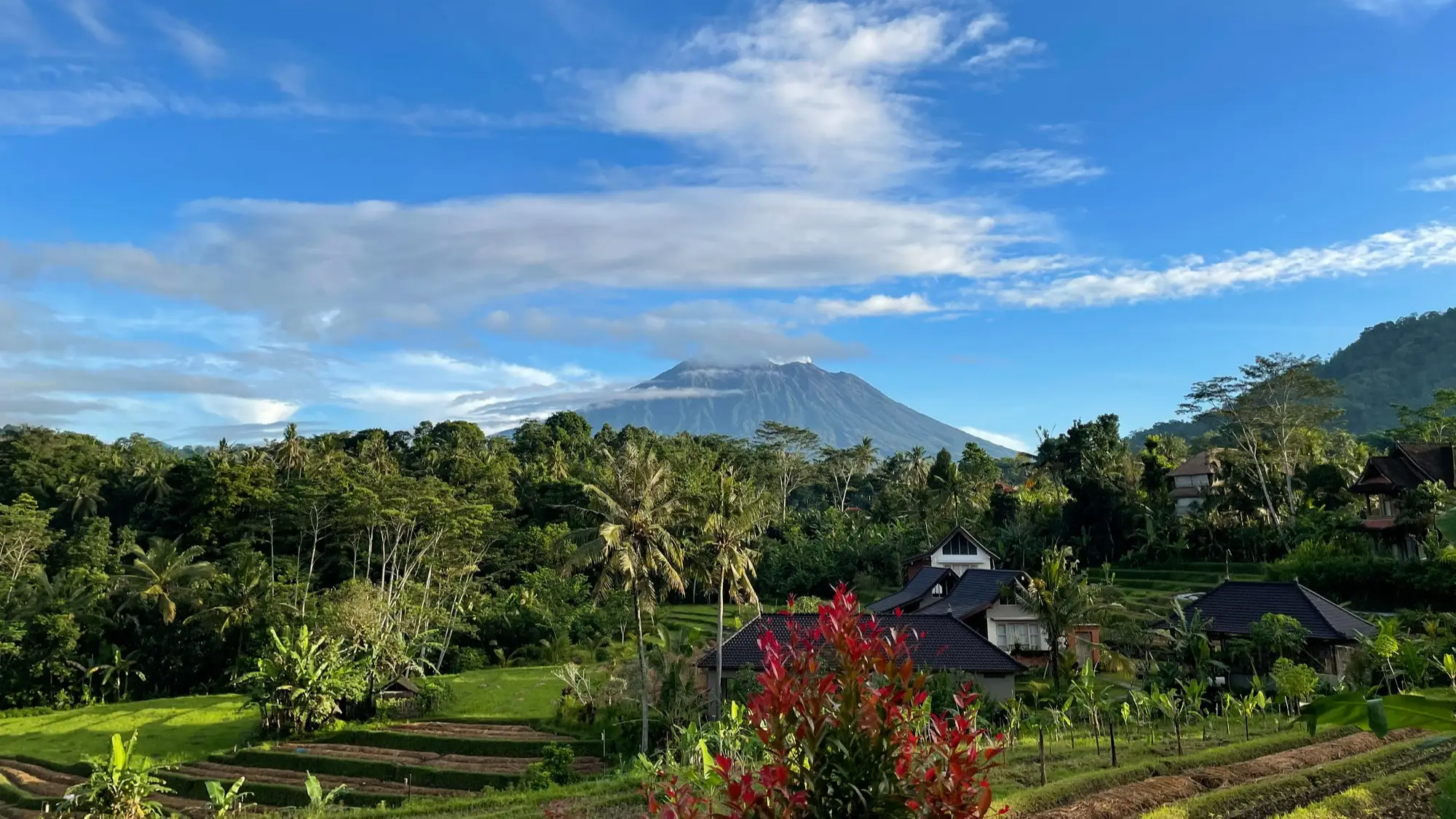 DE - Top Ricefields - Bali, Indonesia - Sidemen Reisfelder Sidemens mit Blick auf einen Vulkan.