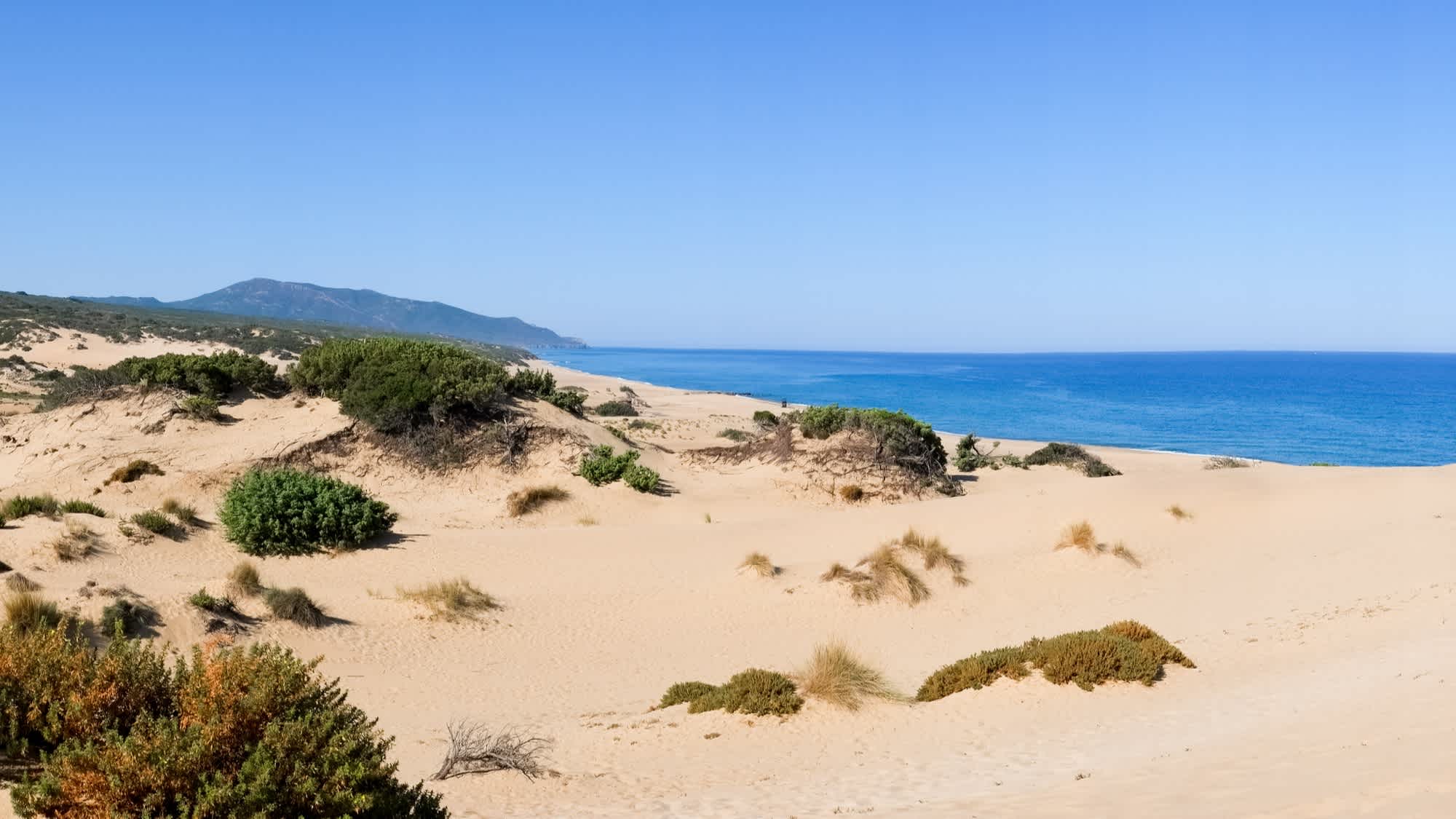 Dunes de sable sur la Costa Verde, Sardaigne occidentale, Italie

