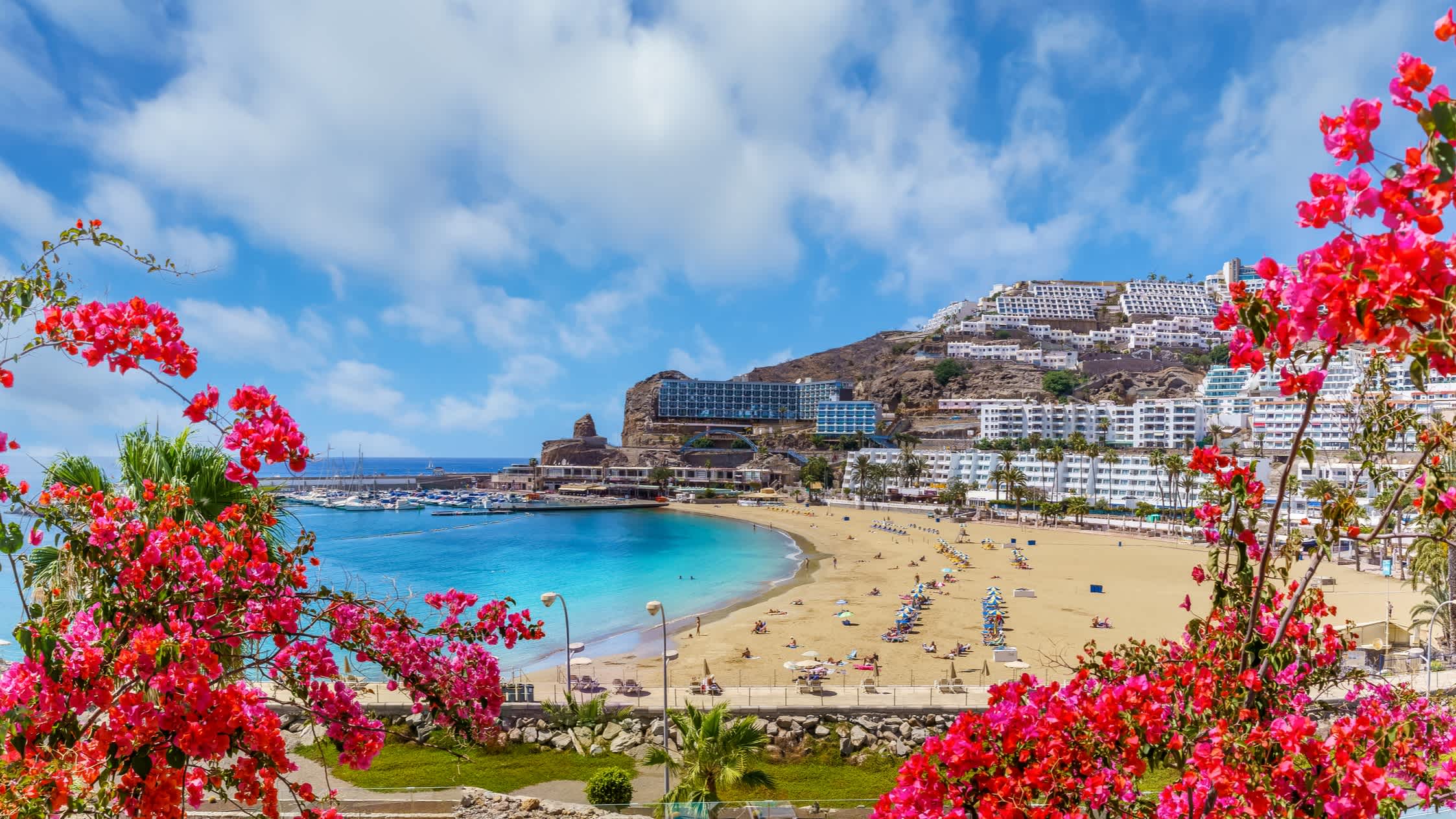 Blick auf die Bucht von Puerto Rico auf Gran Canaria mit Blumen im Vordergrund und Häusern