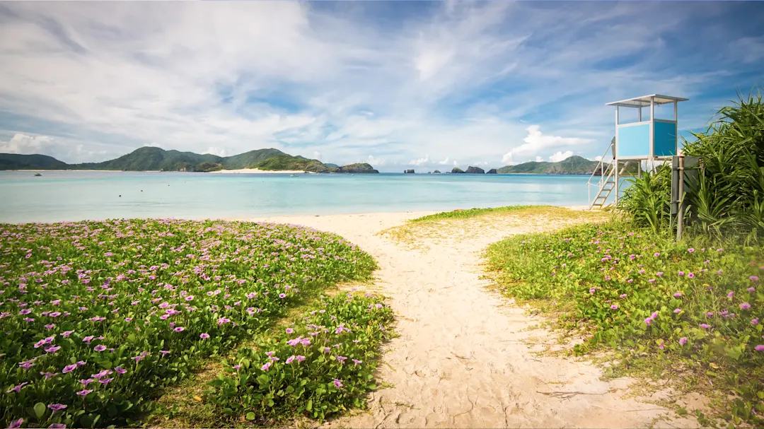 Sandstrand mit lila Blumen und türkisfarbenem Meer. Zamami, Okinawa, Japan.