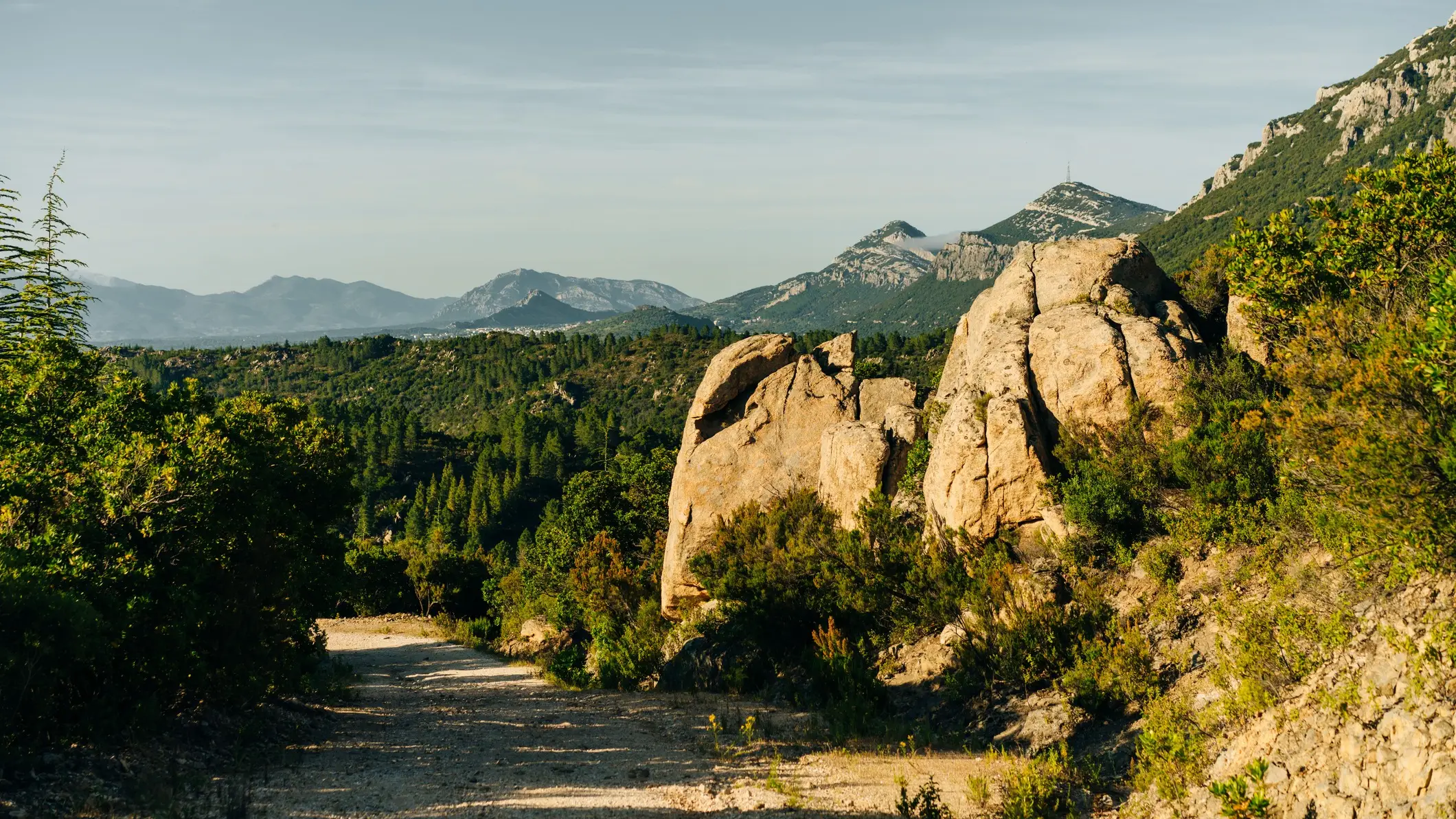 Italie, Sardaigne, Supramontebergen Vignobles devant les montagnes de Supramonte, Sardaigne, Italie.