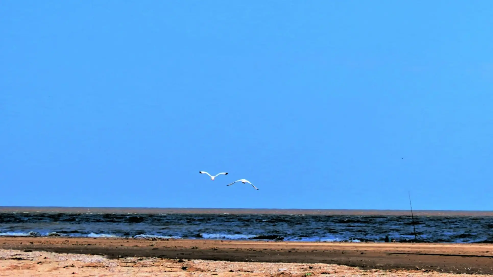 Punta Rasa, San Clemente del Tuyú, Provinz Buenos Aires Naturlandschaft im Ecological Reserve Park in Punta Rasa