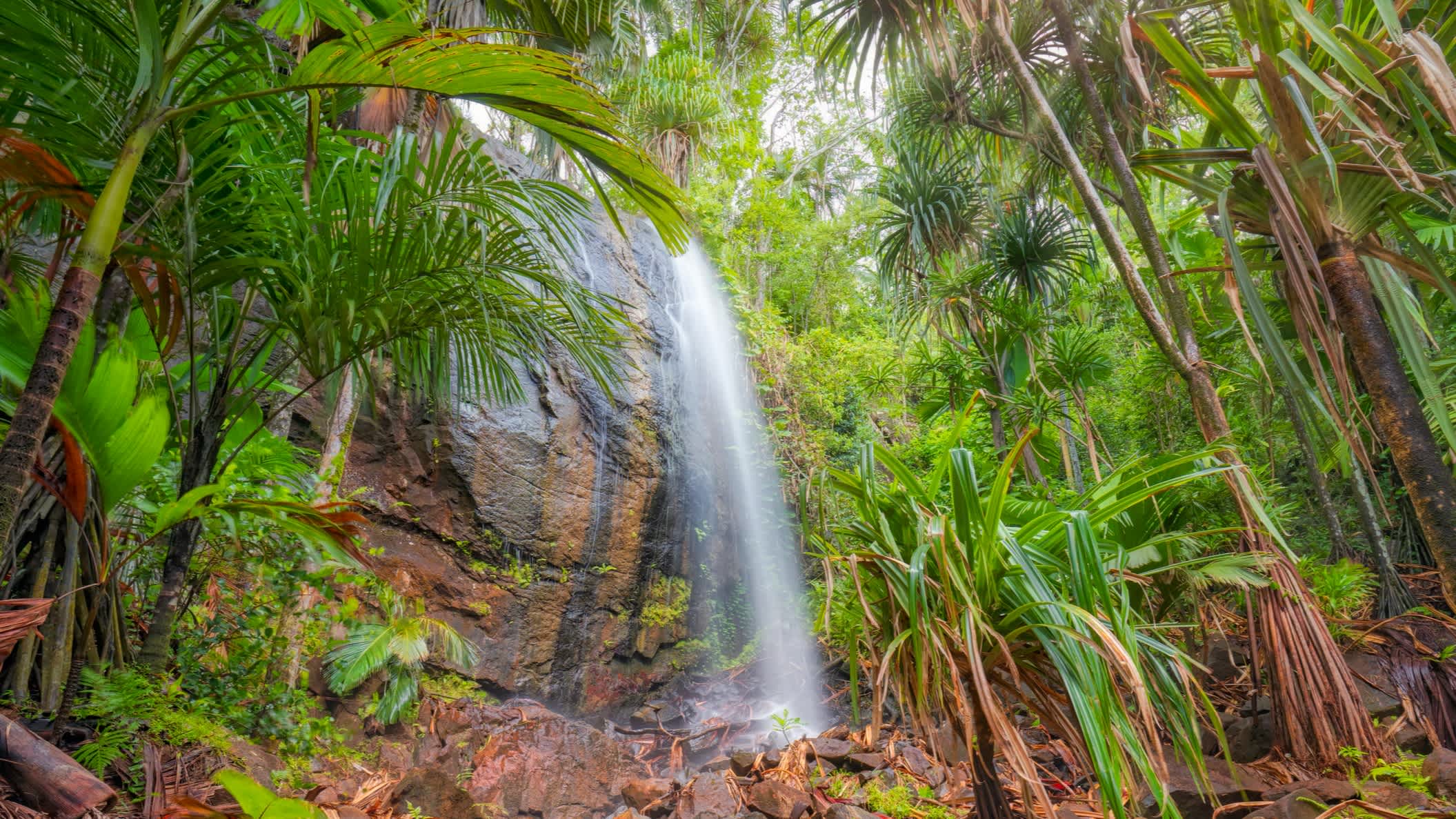 Der Wasserfall im Vallee De Mai auf der Insel Praslin, Seychellen.