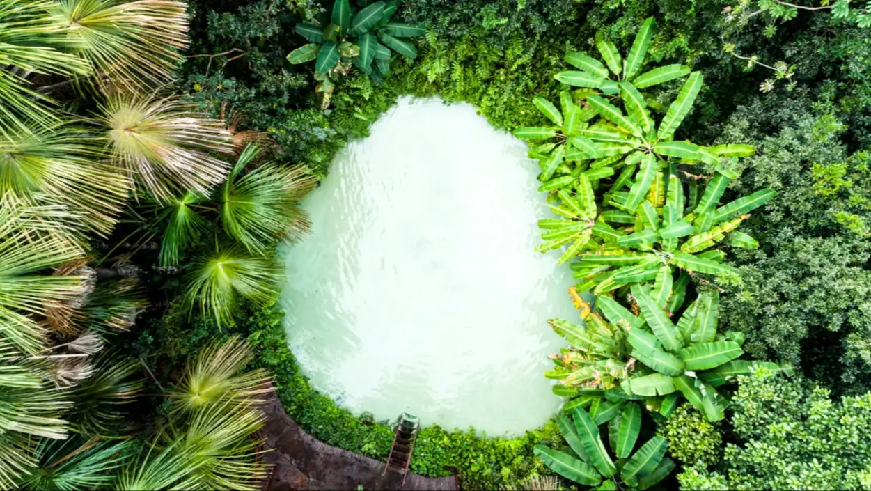 Fervedouro, forêt, Jalapão, Brésil Vue aérienne de Fervedouro et de la forêt du Jalapão