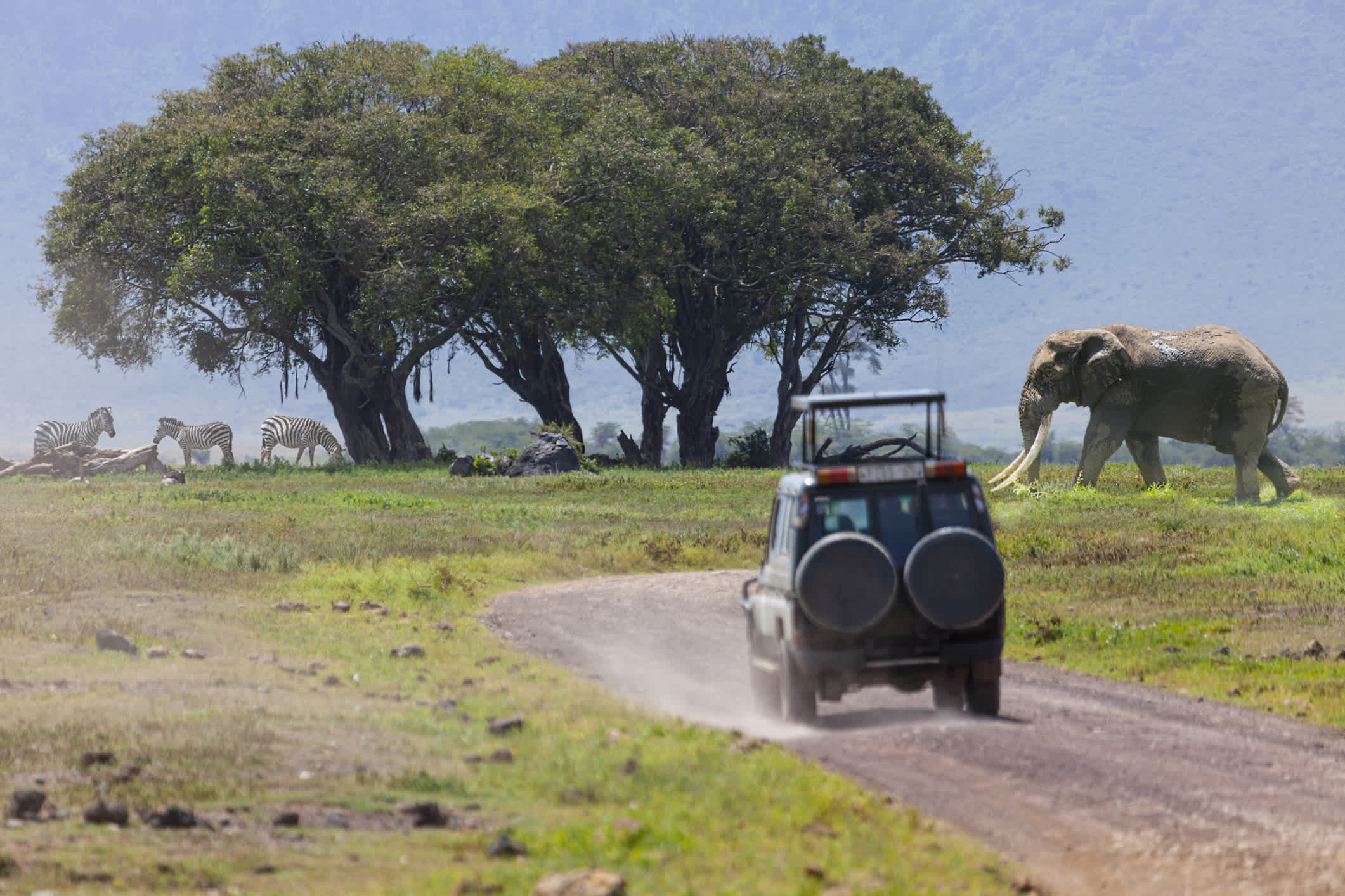 Ein Jeep fährt auf einem Feldweg in der Savanne der Serengeti, Tansania