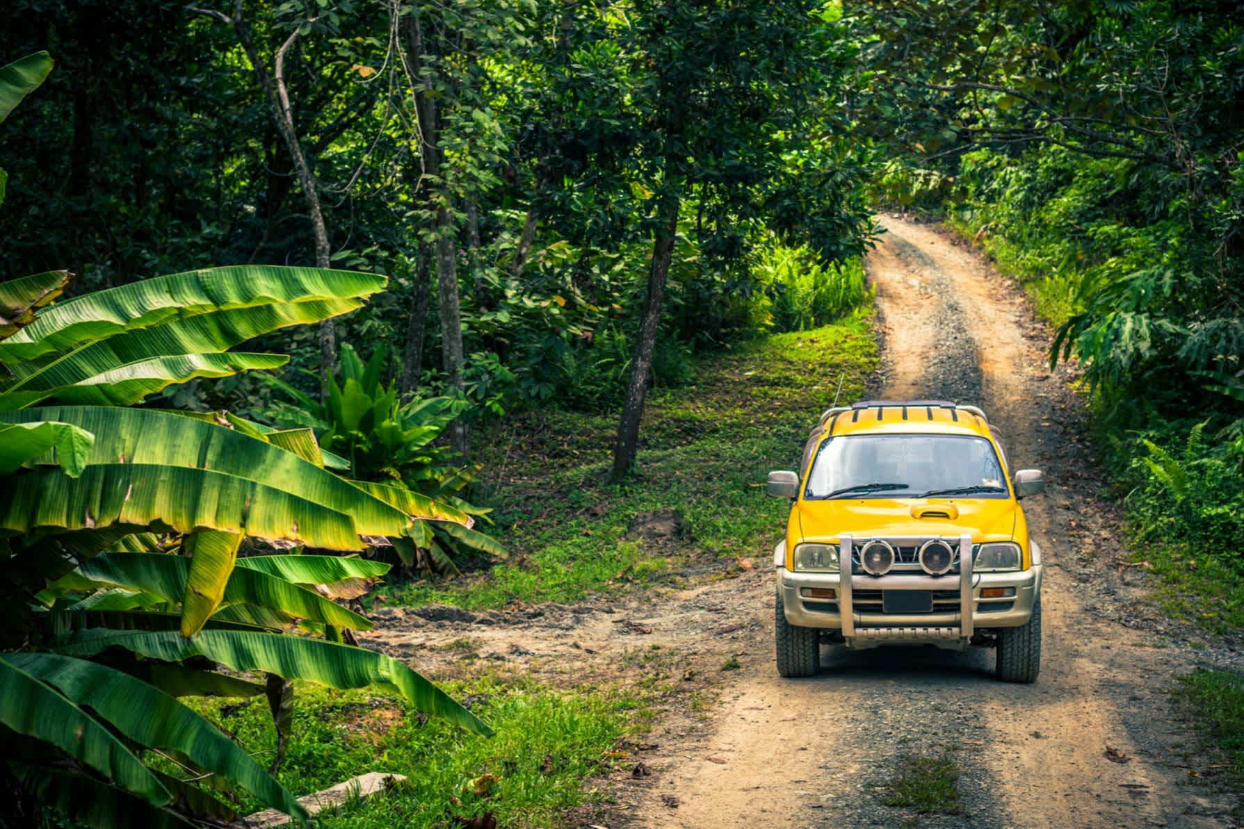 Jeep im Dschungel, Malaysia

