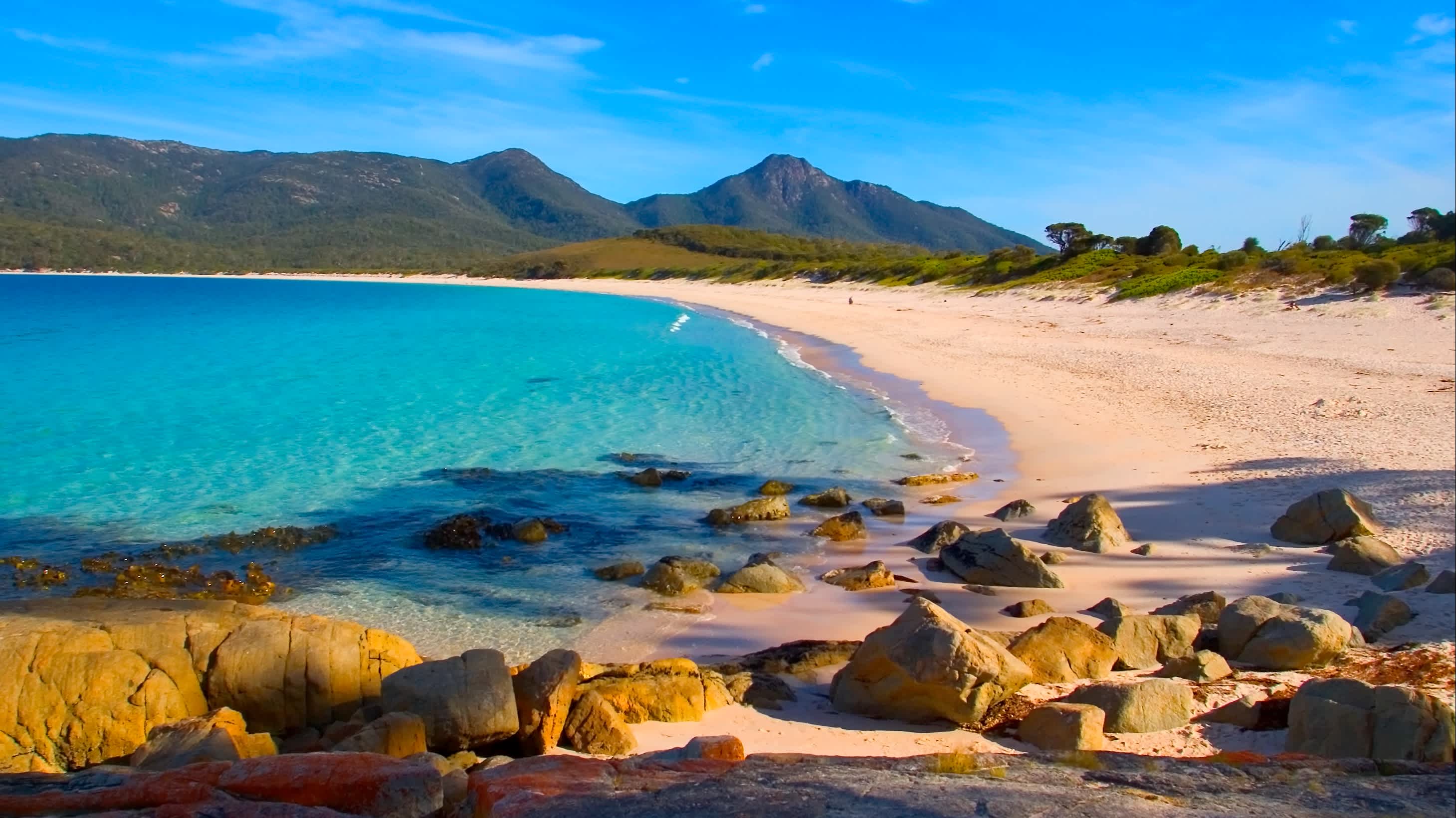 Australie, Tasmanie, vue sur une plage de la baie de Wineglass