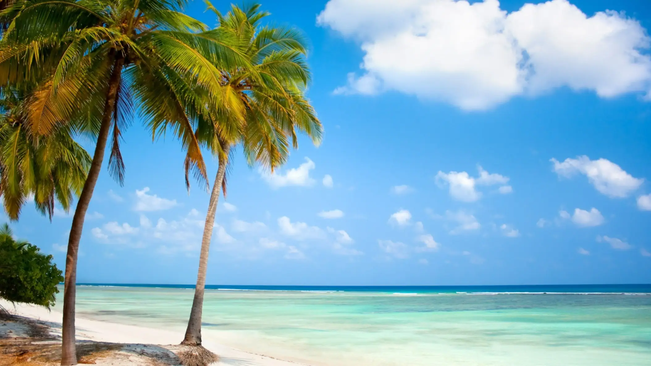 Minicoy, Lakshadweep, Indien Traumhafter Sandstrand Minicoy, Lakshadweep, Indien am türkisblauen Meer und mit Palmen im Bild.