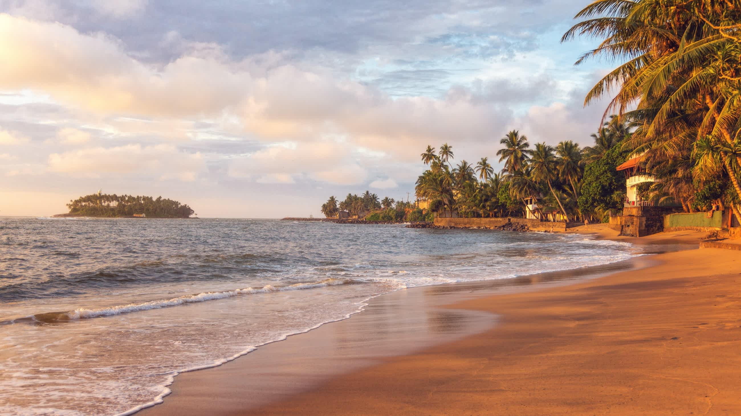 Paradiesischer Strand mit Palmen und goldenem Sand in der Nähe von Beruwala