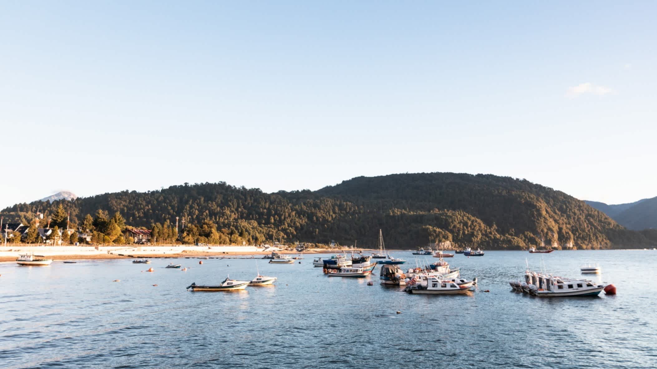 Blick auf das Meer mit vielen Booten und Schiffen im Puerto Cisnes in Chile, mit dem Fischerdorf und waldbewachsenen Hügeln im Hintergrund.