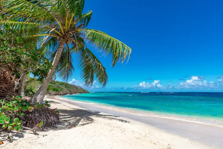 Beste Reisezeit für die Bahamas Klima, Wetter & Tipps Tourlane