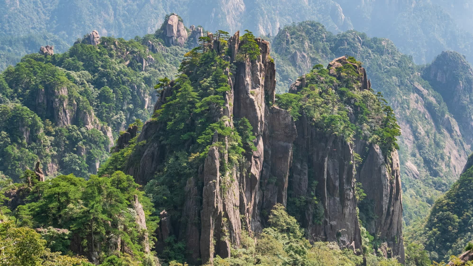 Green mountainous landscape of Huangshan, China.