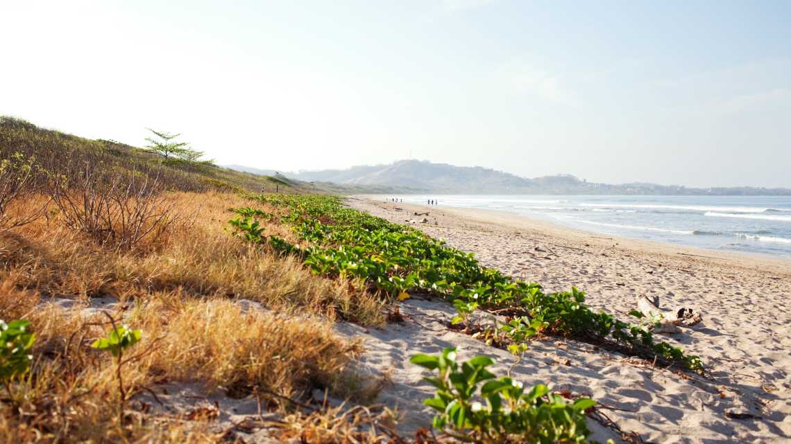 Sonniges Wetter am Playa Grande, in der Nähe von Tamarindo, Costa Rica
