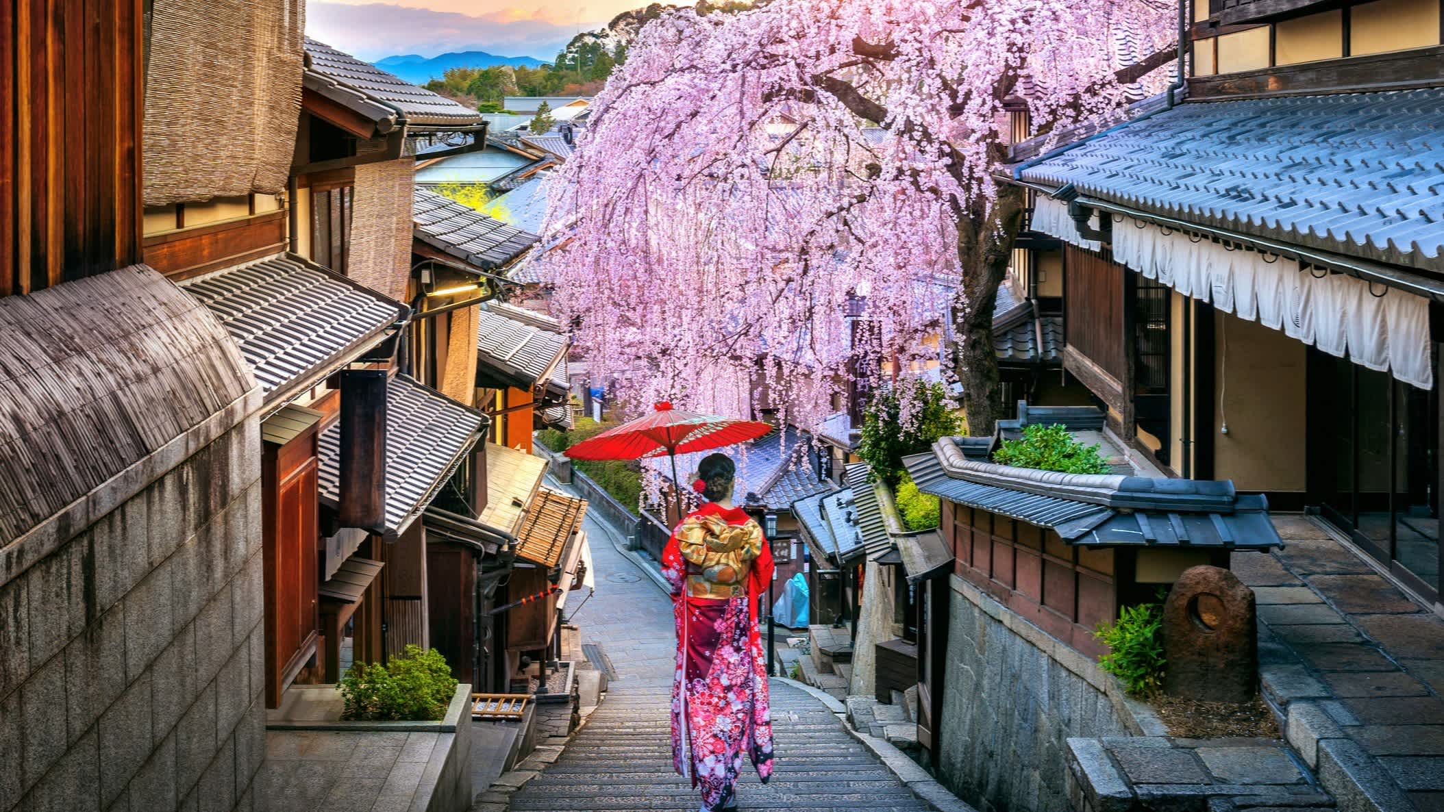 Frühling im historischen Stadtteil Higashiyama, Kyoto, Japan.