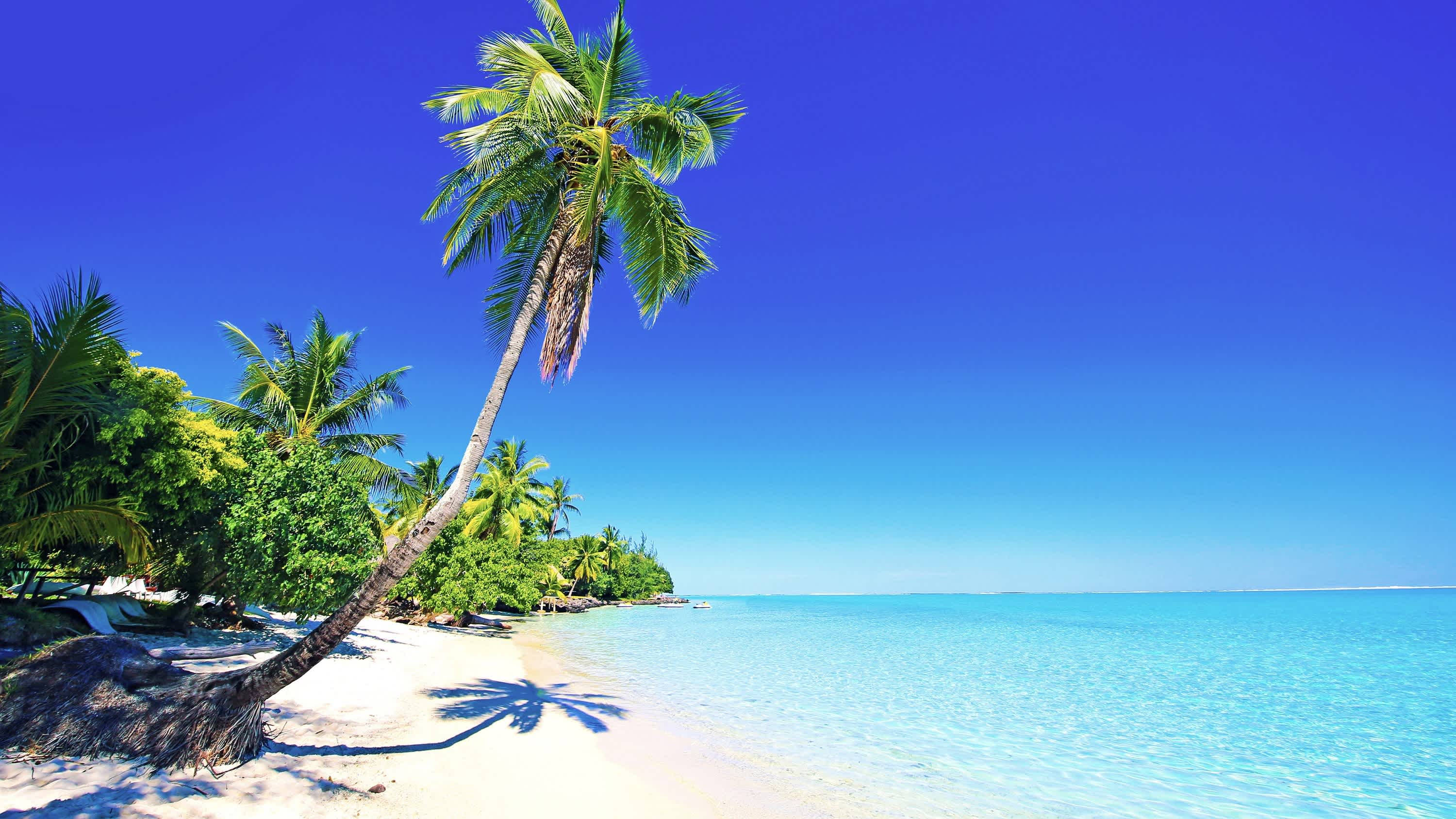Superbe photo de la plage Matira à Bora Bora en Polynésie française