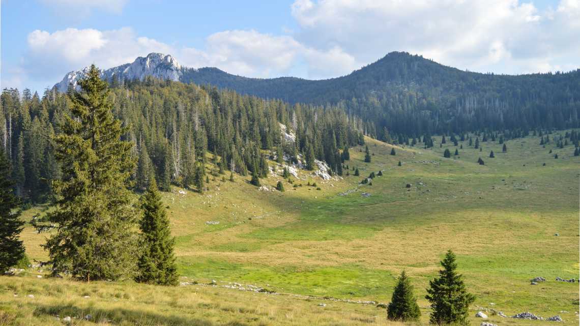 Vallée de Veliki Lubenovac dans le parc national du Velebit septentrional, Croatie