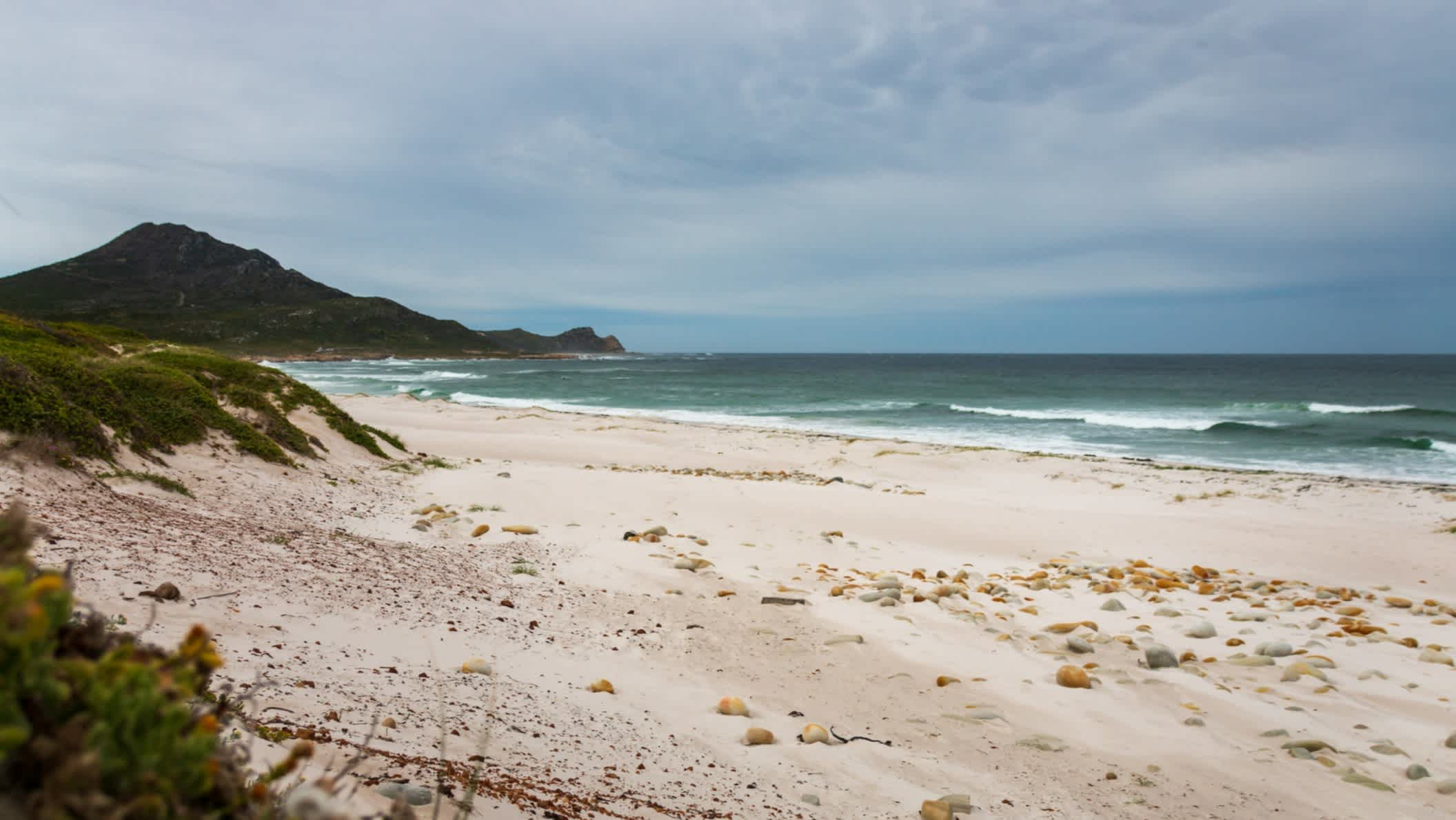 Vue sur la plage de Platboom, réserve naturelle du Cap de Bonne Espérance, Le Cap, Afrique du Sud.