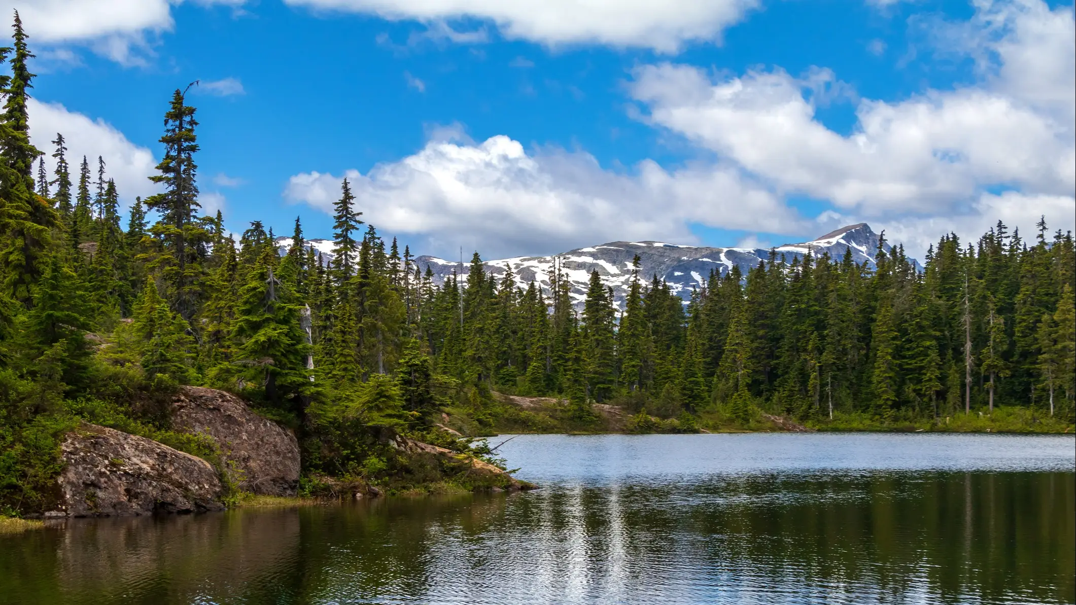 Strathcona Park, British Columbia, Kanada Waldsee mit schneebedeckten Bergen im Hintergrund, Strathcona Park, British Columbia, Kanada