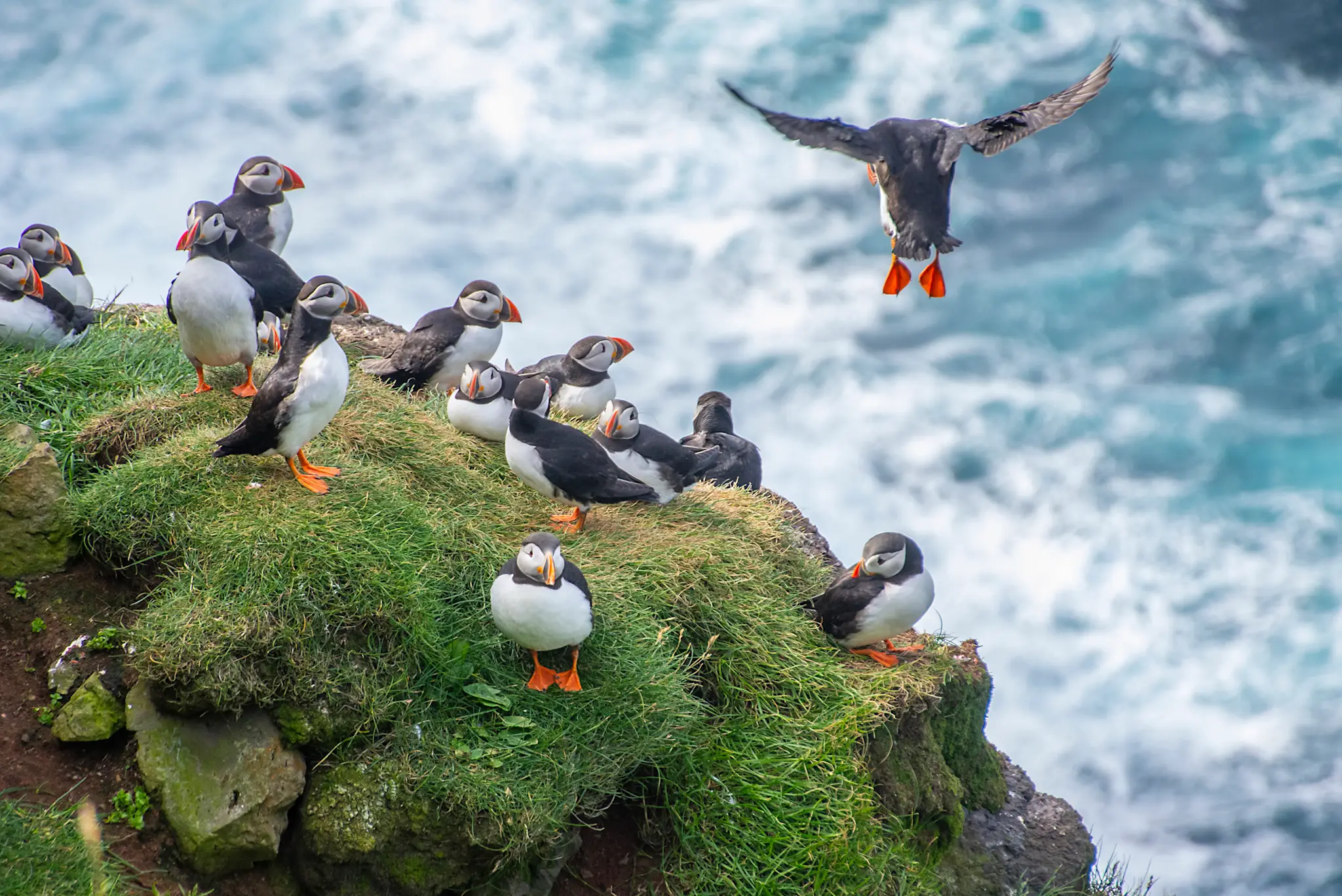 Durée voyage Islande combien de temps partir ? Tourlane
