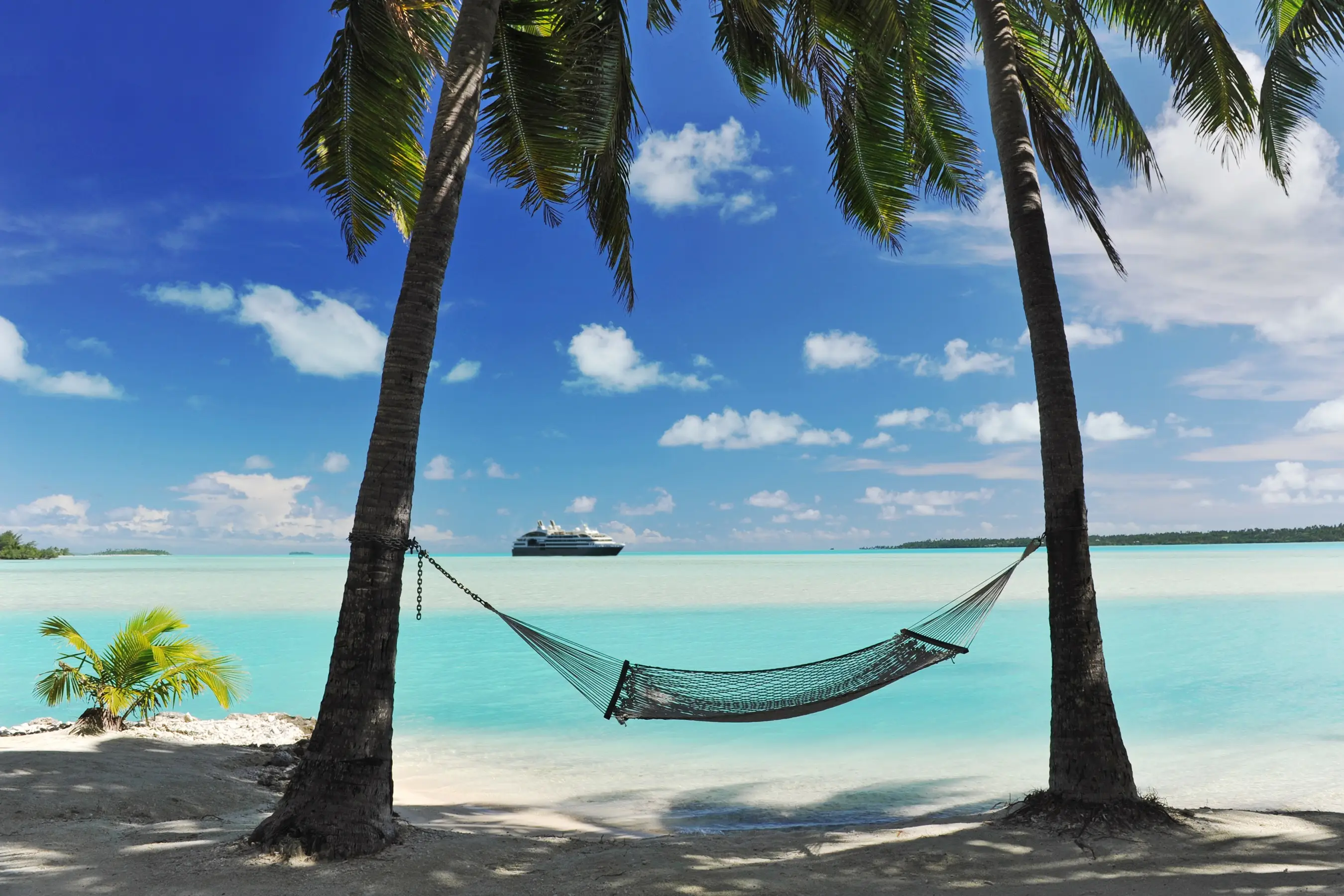 USA, Hawaii, Kreuzfahrt Eine Hängematte, aufgespannt zwischen Palmen am Strand von Hawaii.
