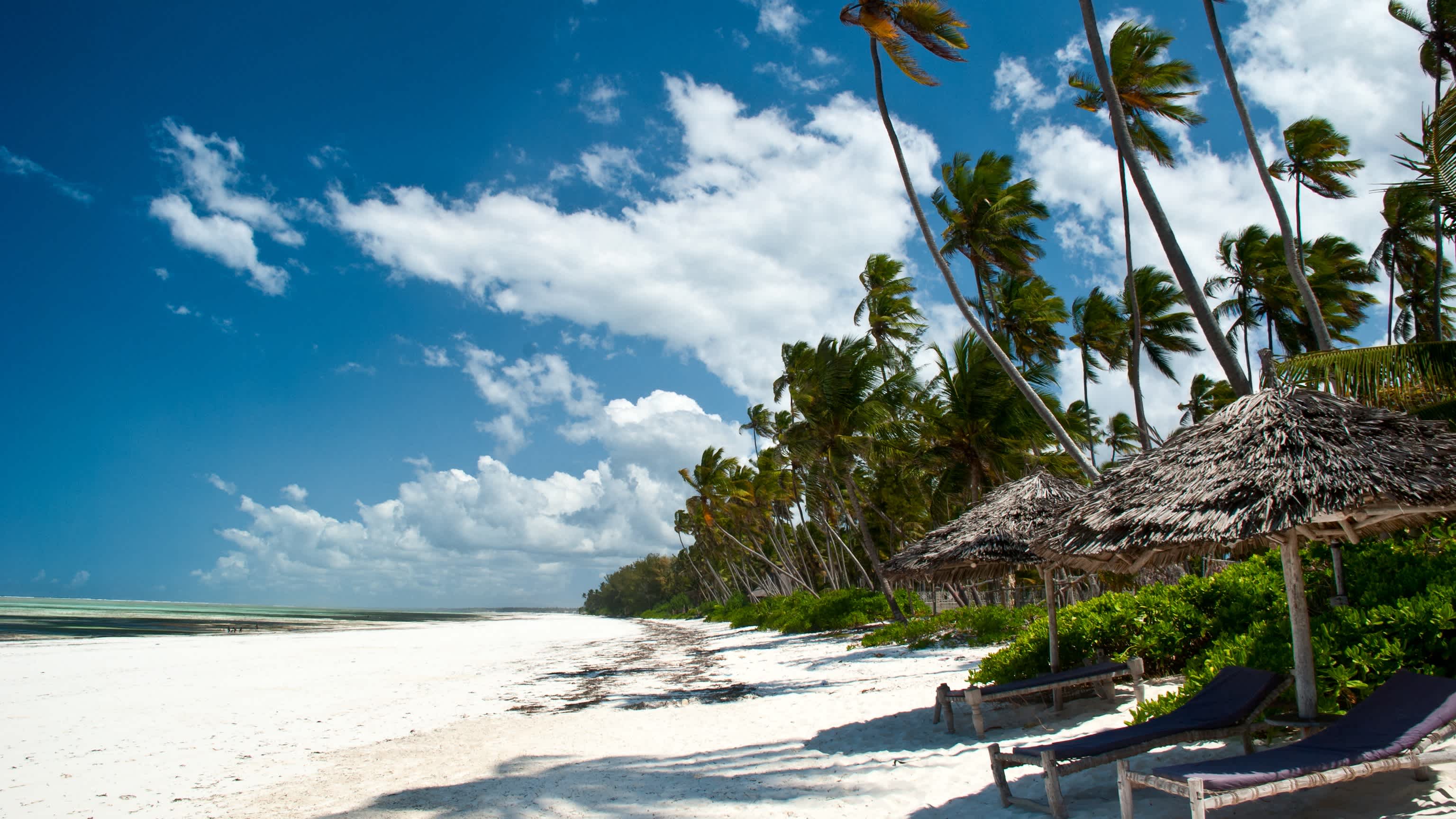 Blick auf den weißen Sandstrand Matemwe Beach mit Palmen und Strandliegen.