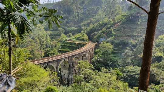 Eisenbahnbrücke im Dschungel 