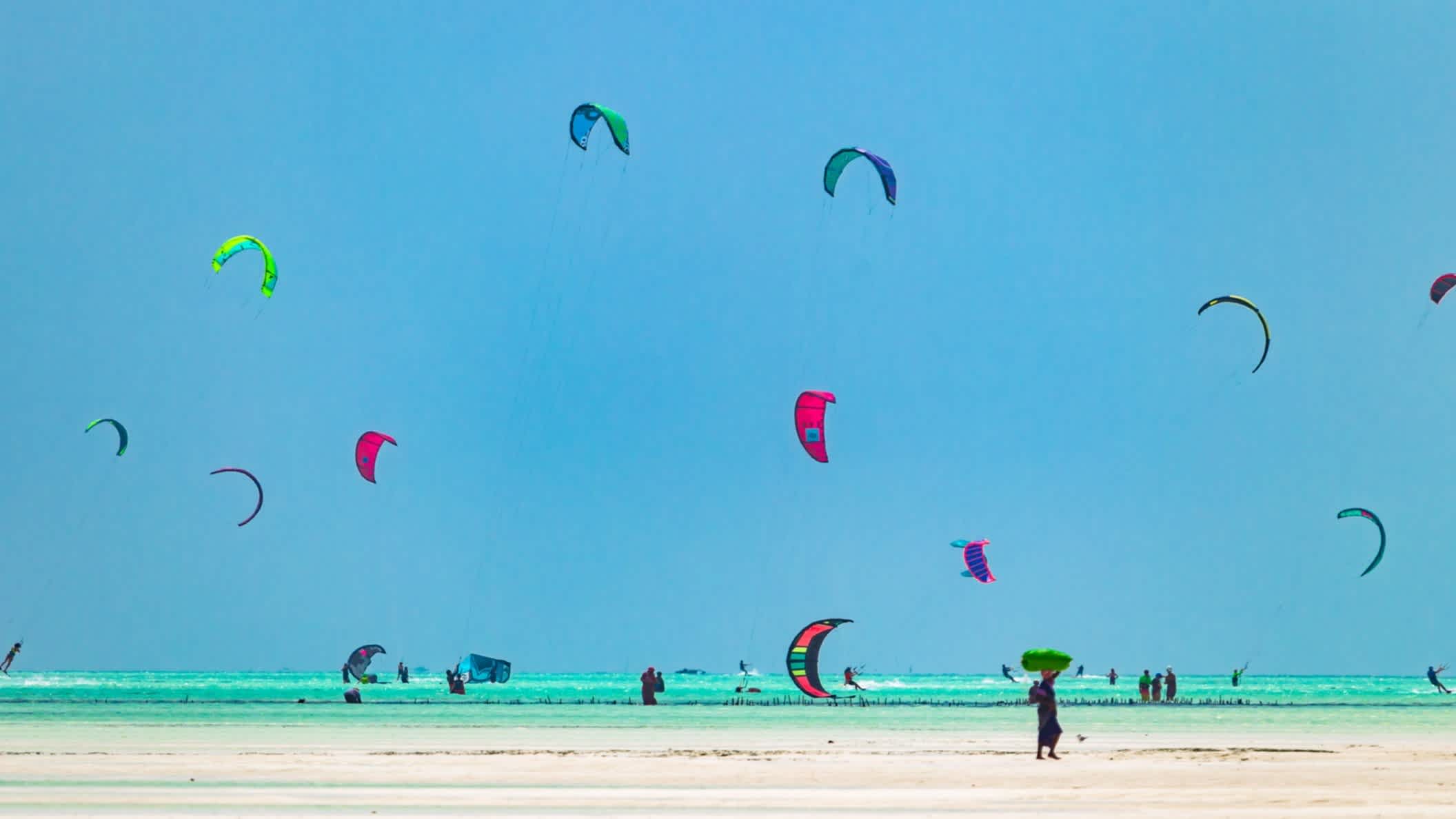 Voiles de kitesurf, sur la plage de Paje, à Zanzibar, en Tanzanie.