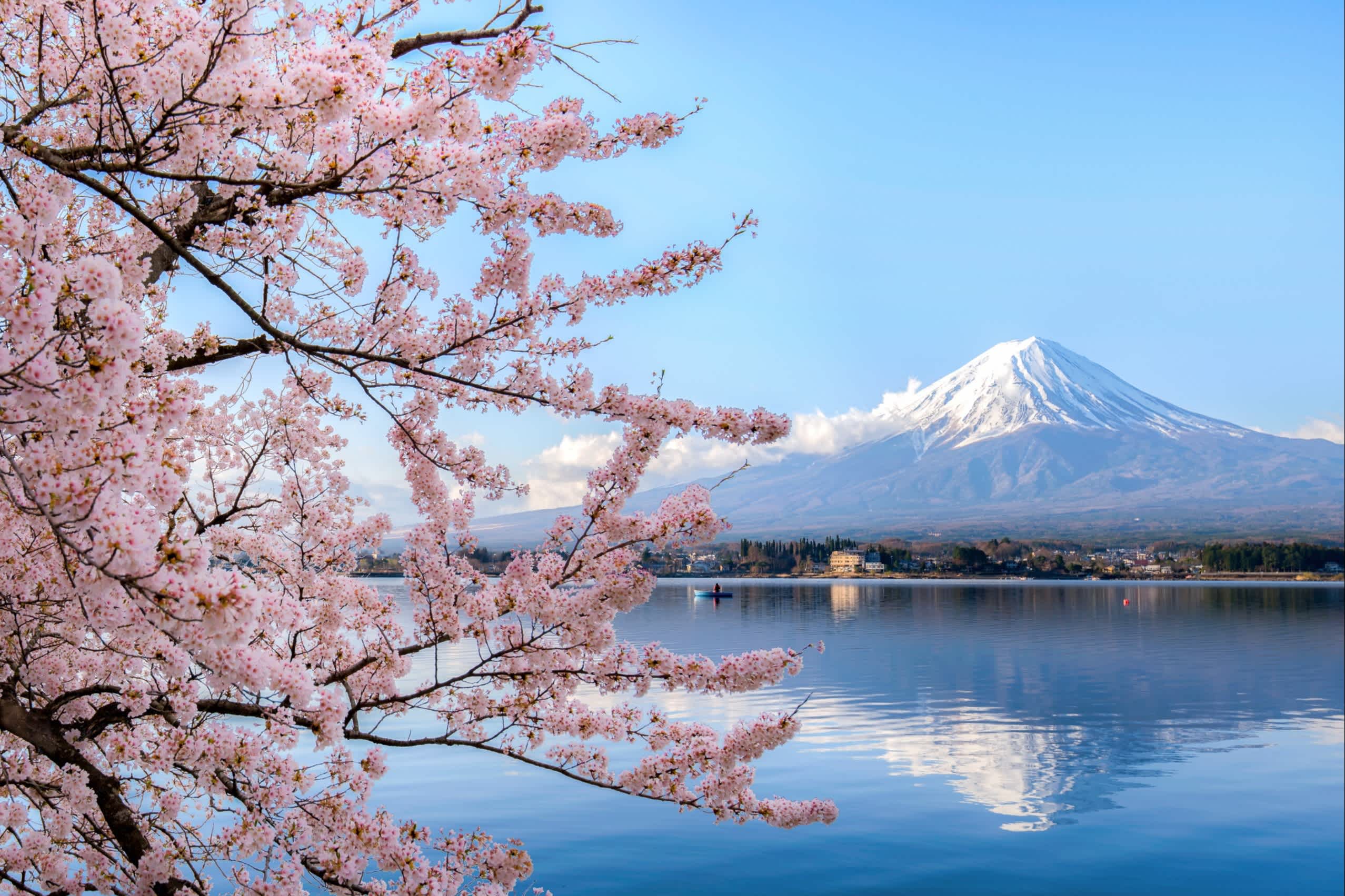 See und Kirschbäume zur Kirschblüte in Tokio Japan mit dem Mount Fuji im Hintergrund.