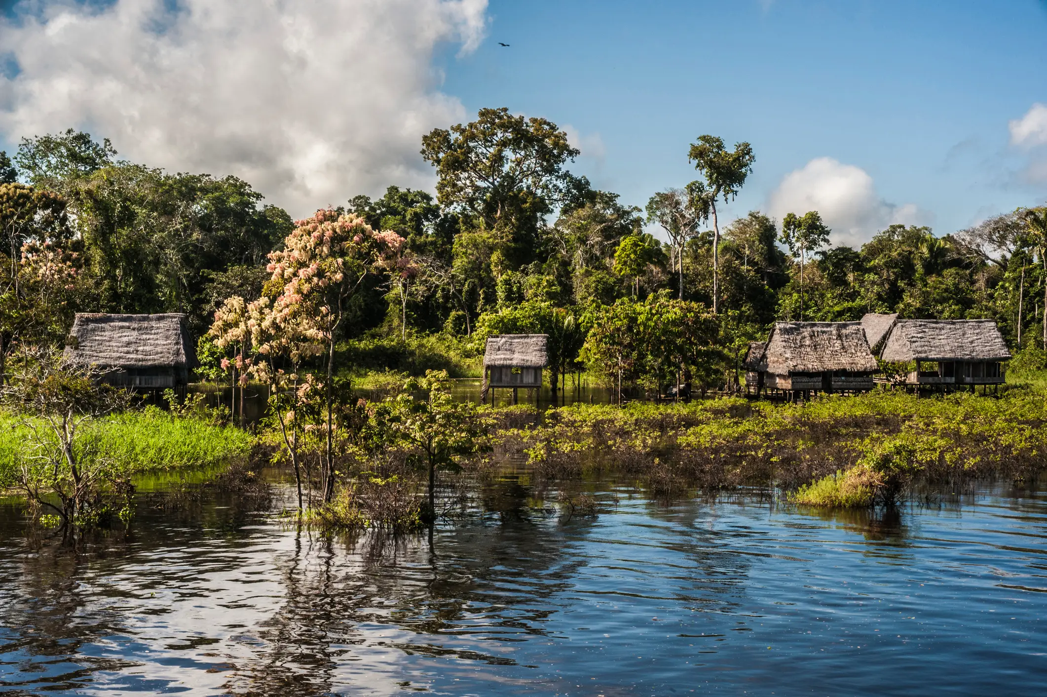 Die Landschaft von Pacaya Samiria Nationalpark mit den Maranon Fluß in peruanischen Amazonas.