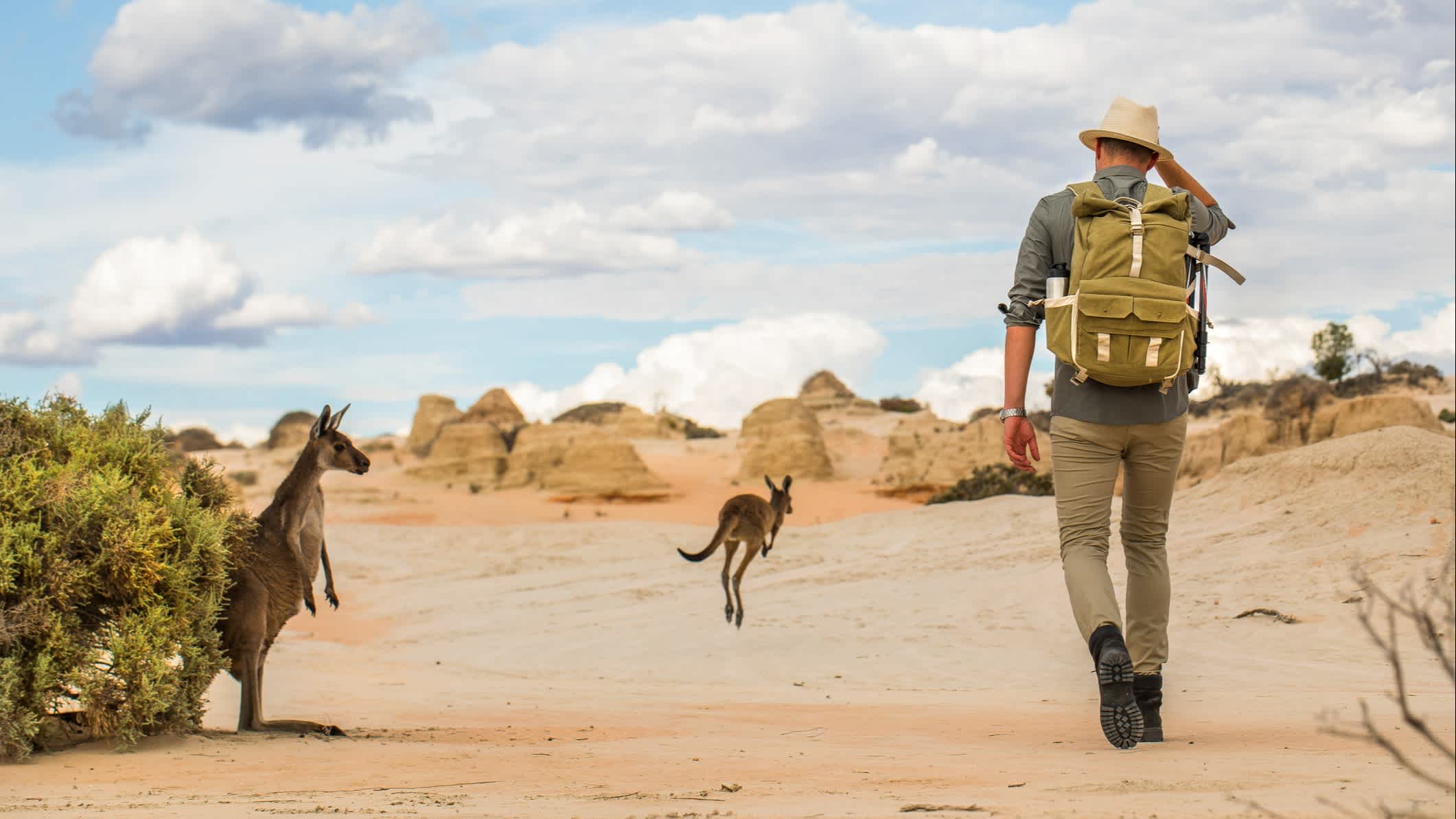 Un homme et des kangourous dans le désert de l'outback australien

