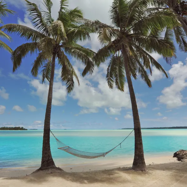 20250917 COK SquareOverlay 600x600 DE