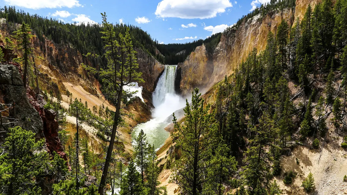 USA, Wyoming, Yellowstone Grand Canyon von Yellowstone mit Wasserfall und Pinien. Yellowstone, Wyoming, USA.