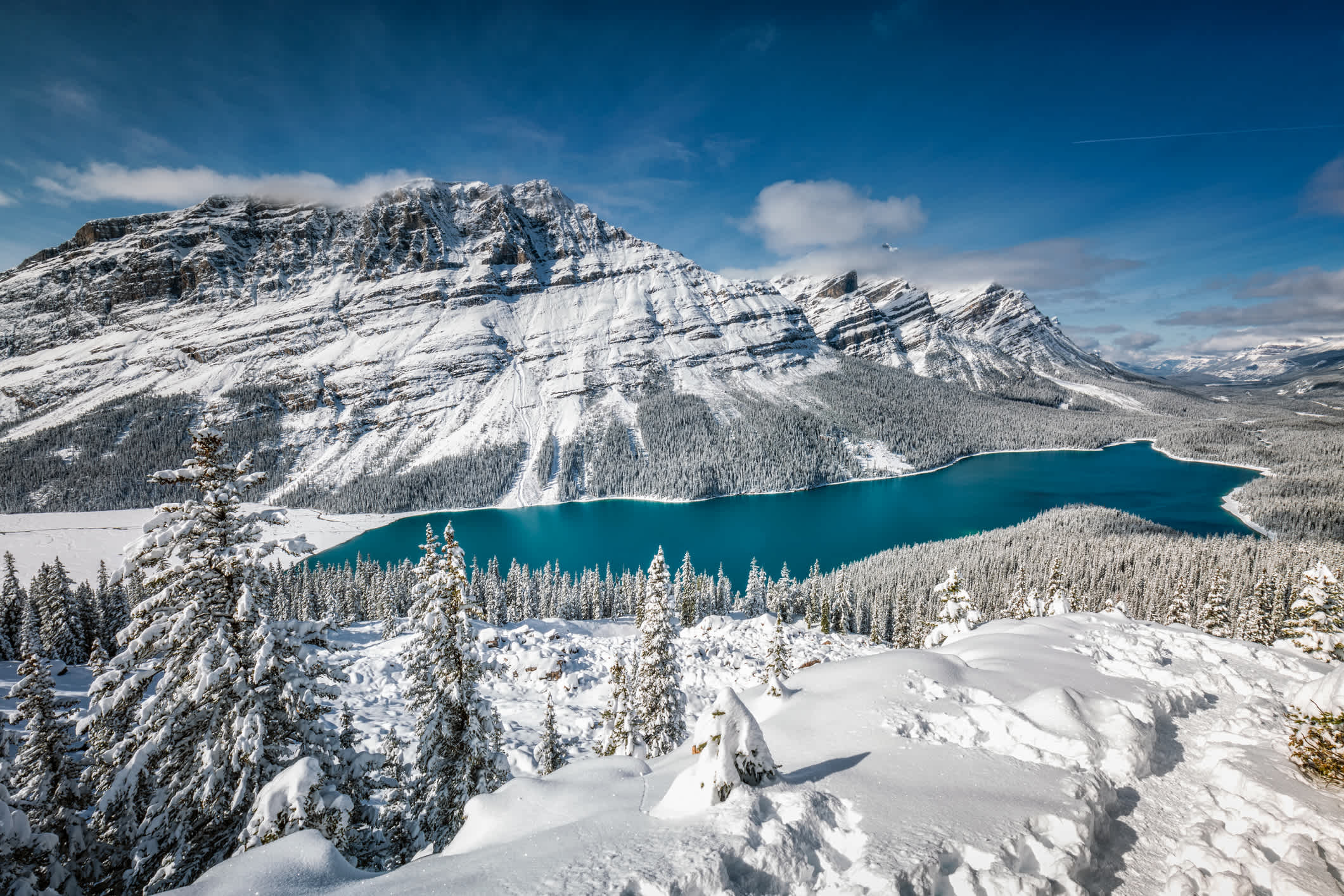 Peyto Lake mit Spiegelung im Banff Nationalpark im Winter, Alberta, Kanada.