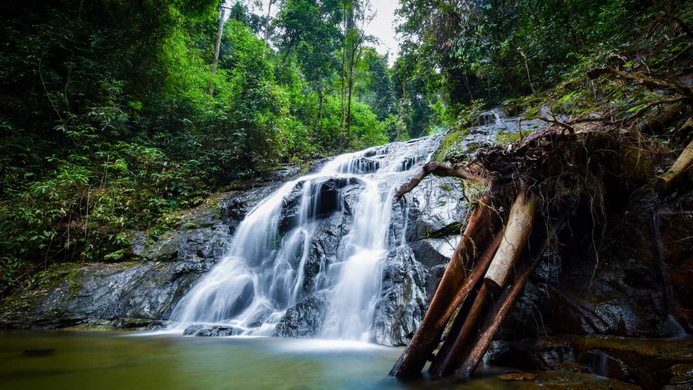Wasserfall in Khao Lak umgeben von üppiger Vegetation