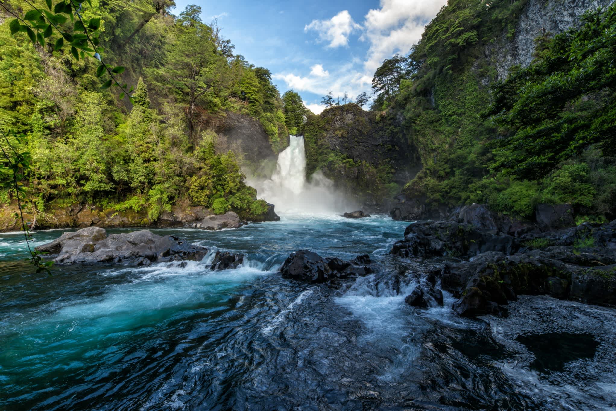 Reißender Wasserfall im Regenwald