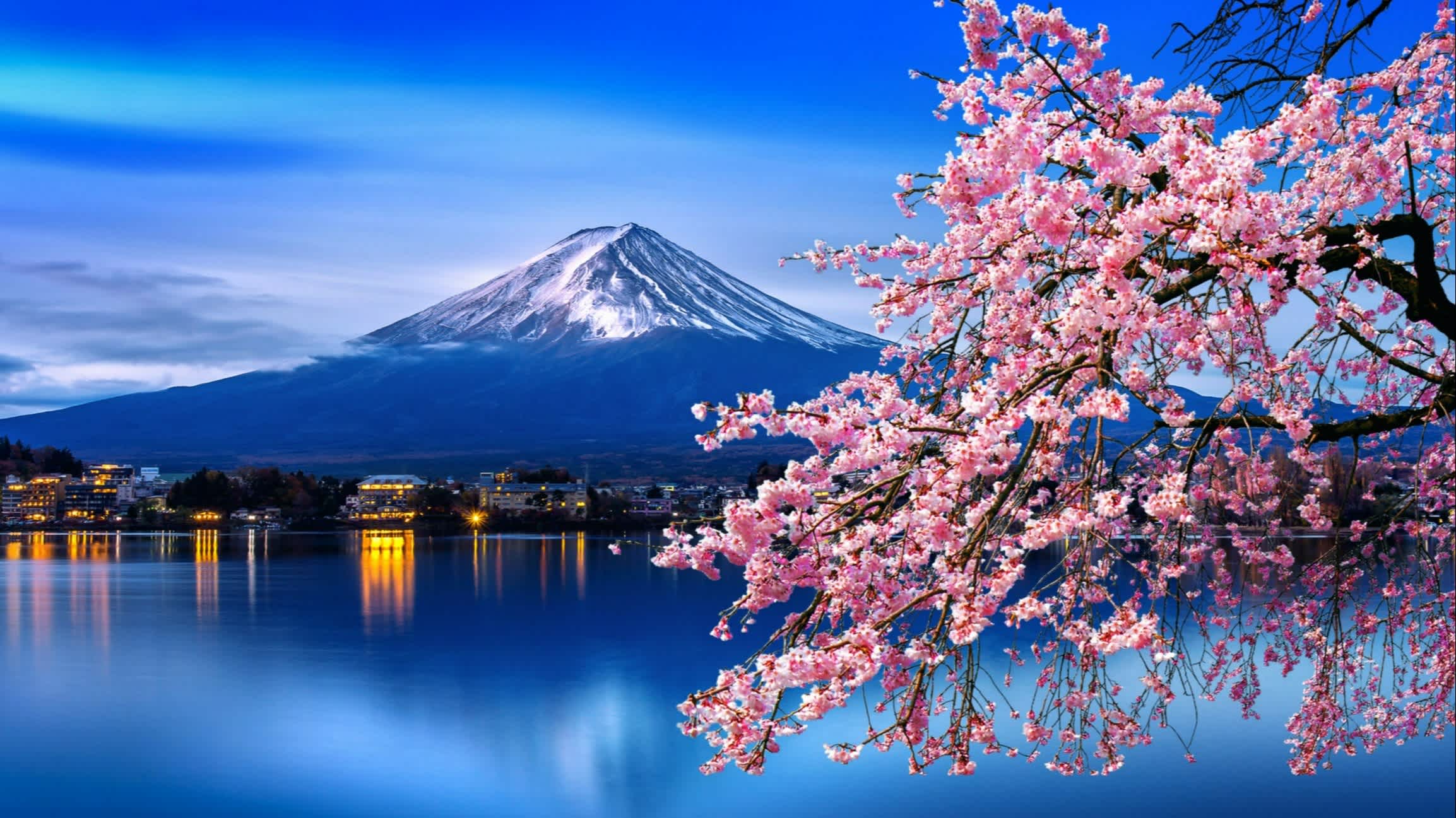 Cerisiers en fleurs et Mont Fidji enneigé, Japon