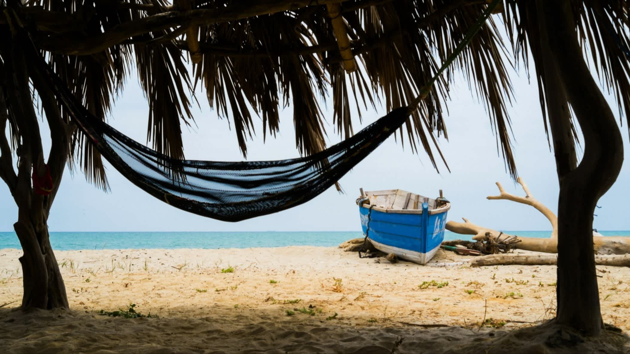 Der Strand Zorritos in Tumbes, Peru mit einer Hängematte aufgespannt zwischen zwei Palmen und einem traditionellen blauen Boot sowie einem Baumstamm und Blick aufs Meer. 