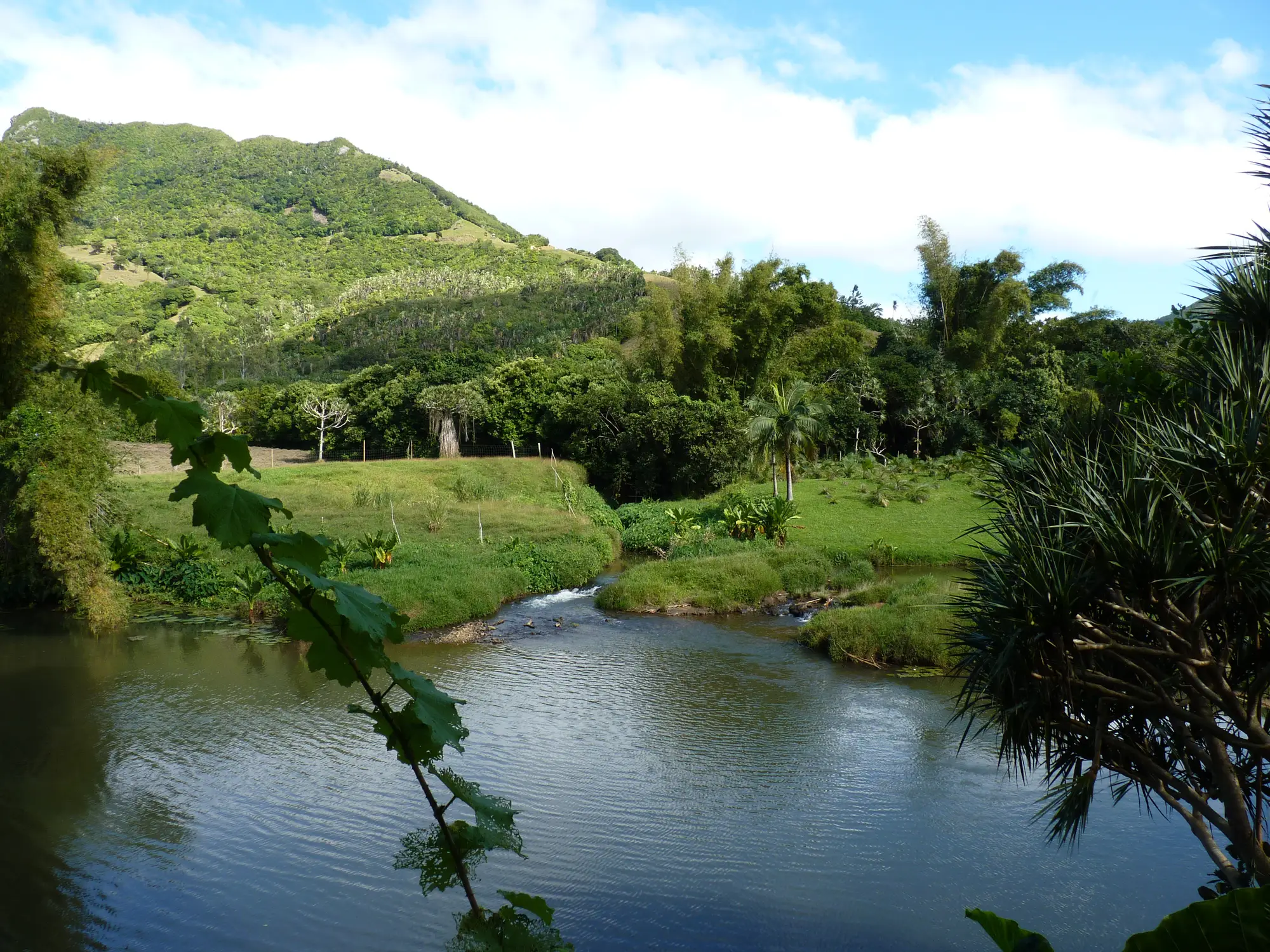 Mauritius, Domaine De L'Etoile Blick auf den Hügeln von Domaine De L'Etoile, Mauritius.