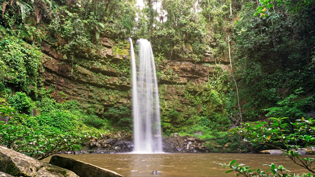 Wasserfall inmitten üppiger tropischer Vegetation. Borneo, Sabah, Malaysia.