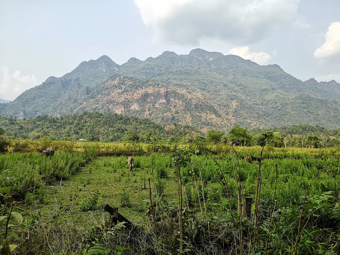 Laos, Karstgebirge Karstgebirge in Laos