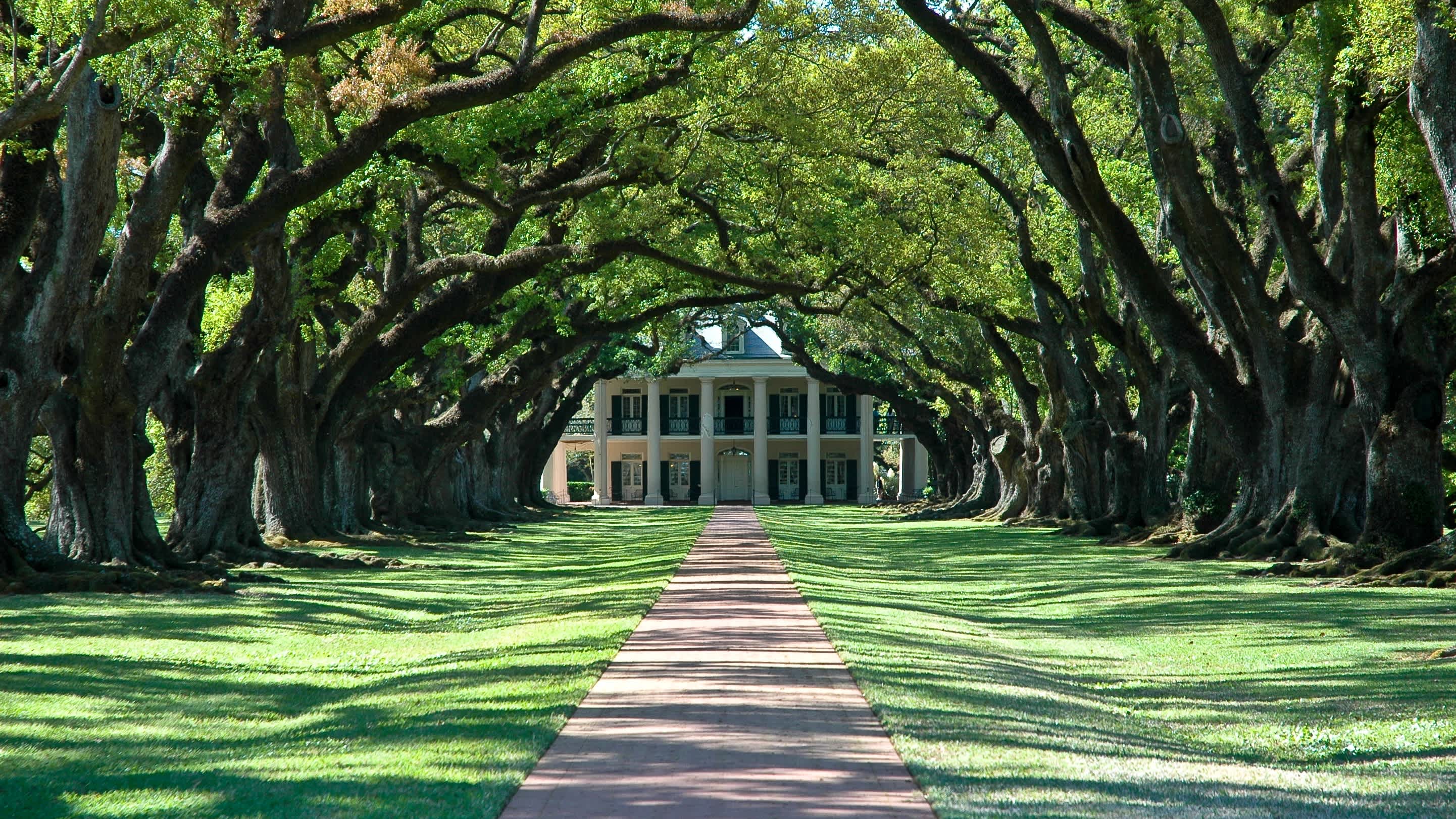 Allée de chênes et maison principale de la plantation