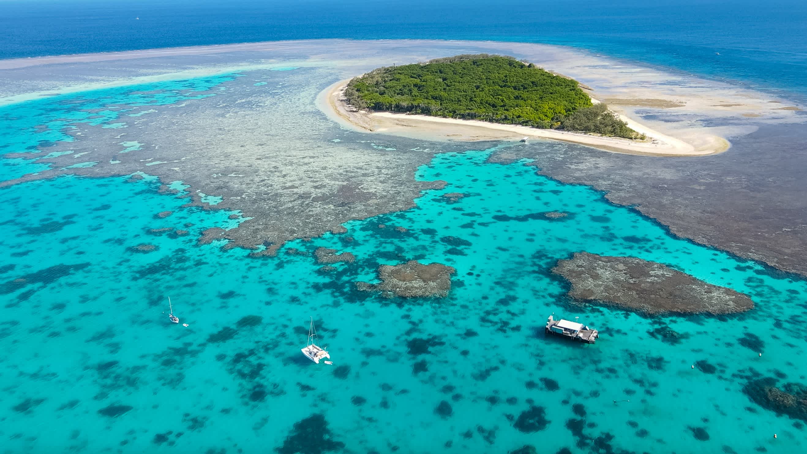 Vue aérienne de l'île de Lady Musgrave, Grande Barrière de Corail, Queensland, Australie.